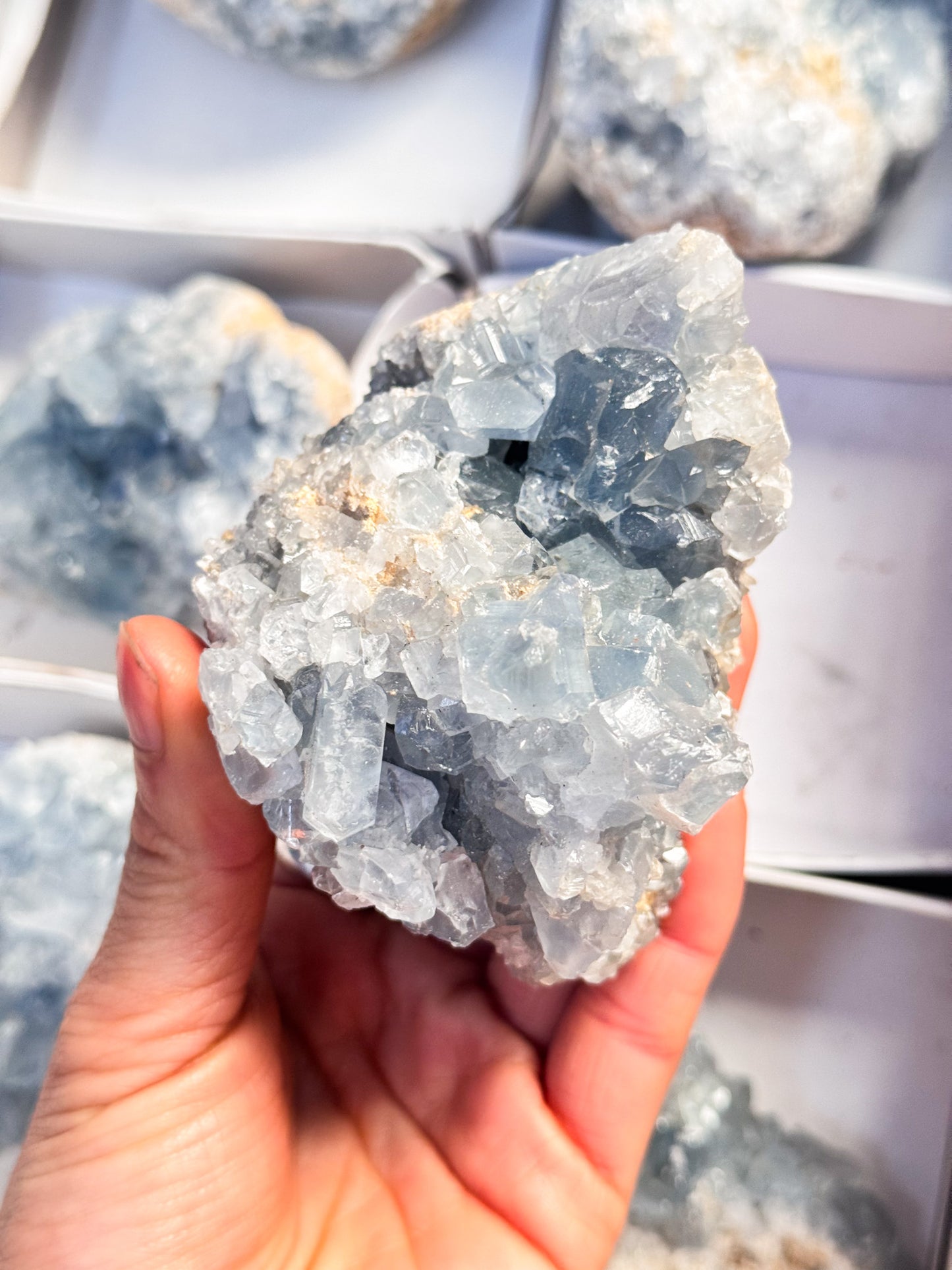 Celestite Geode Clusters