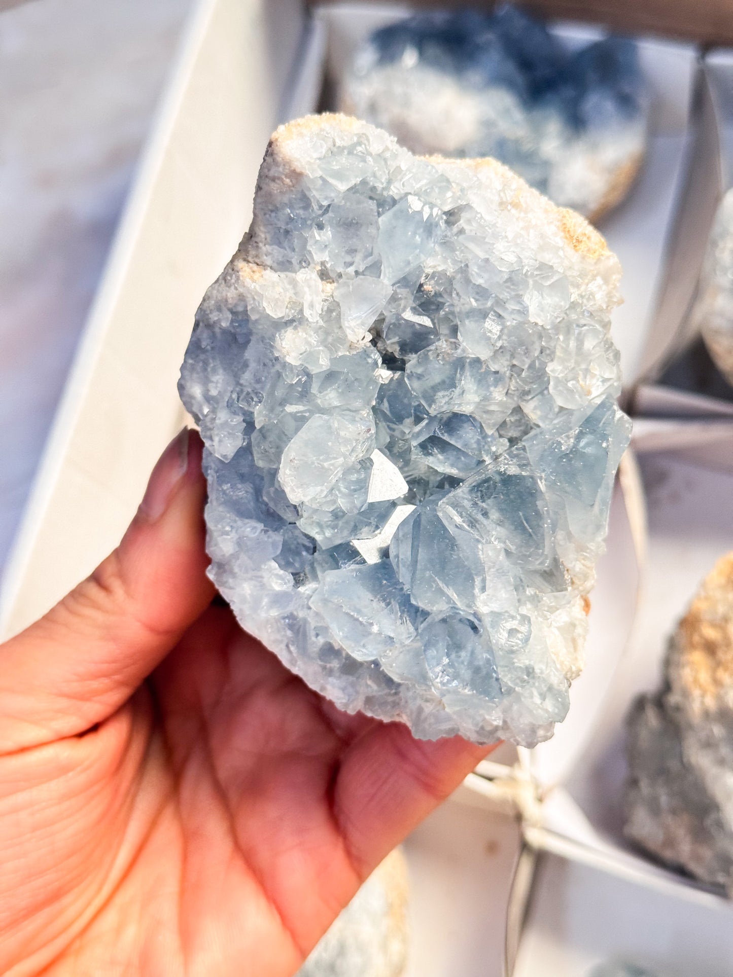 Celestite Geode Clusters