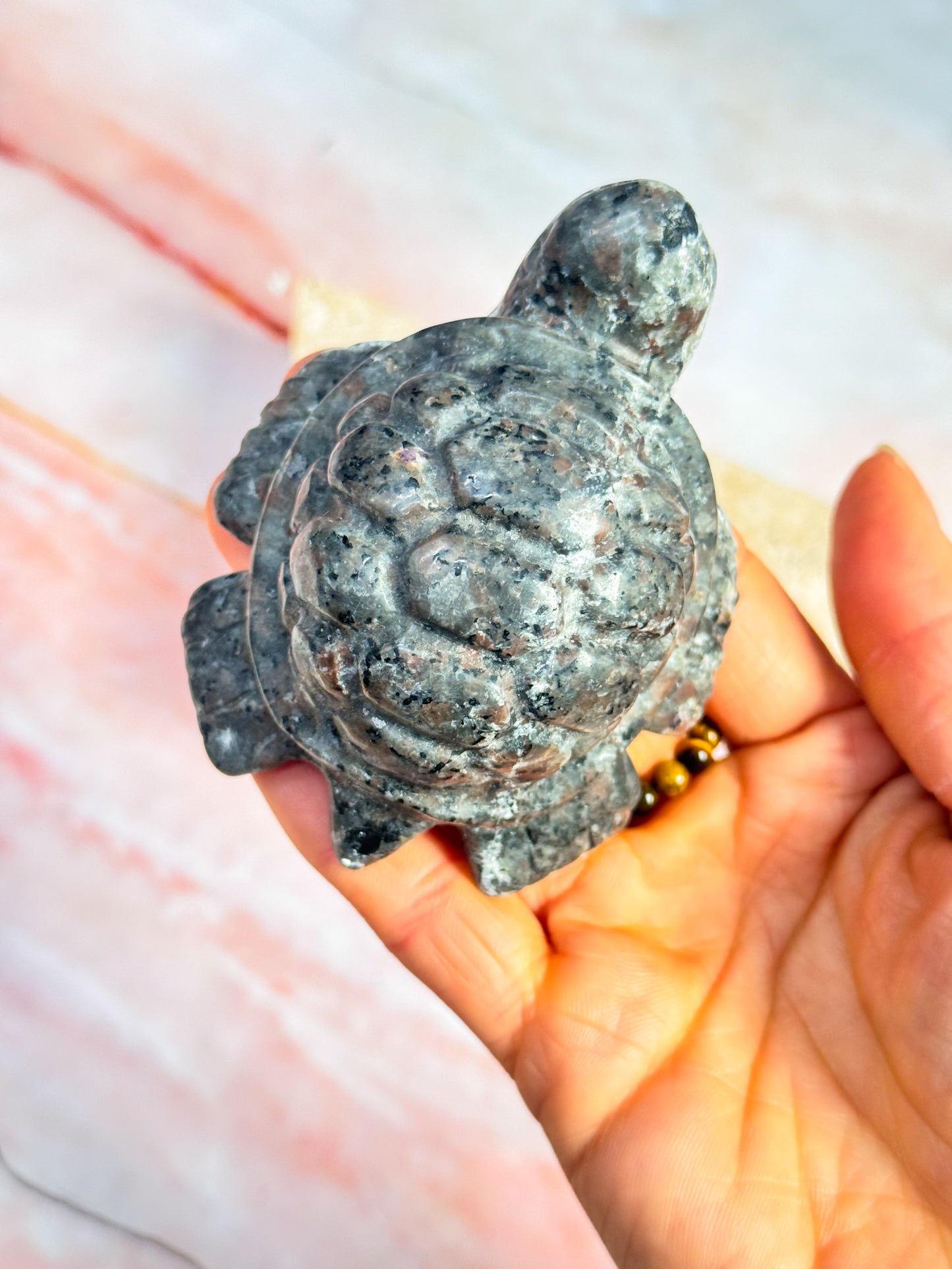 Turtle Carvings