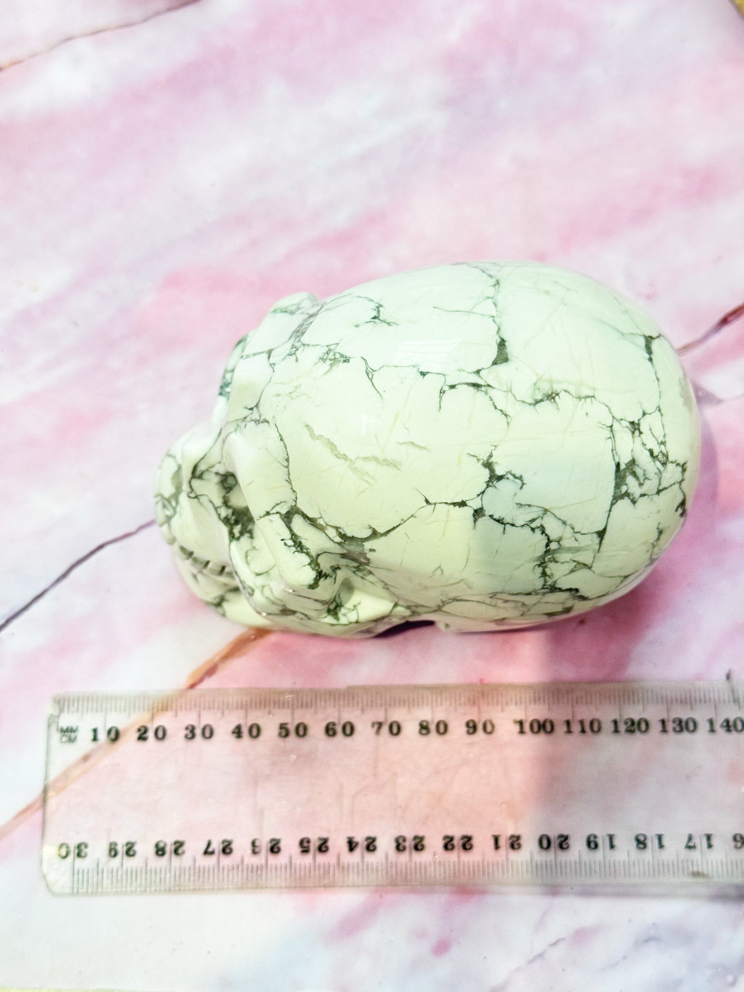 Howlite Skull