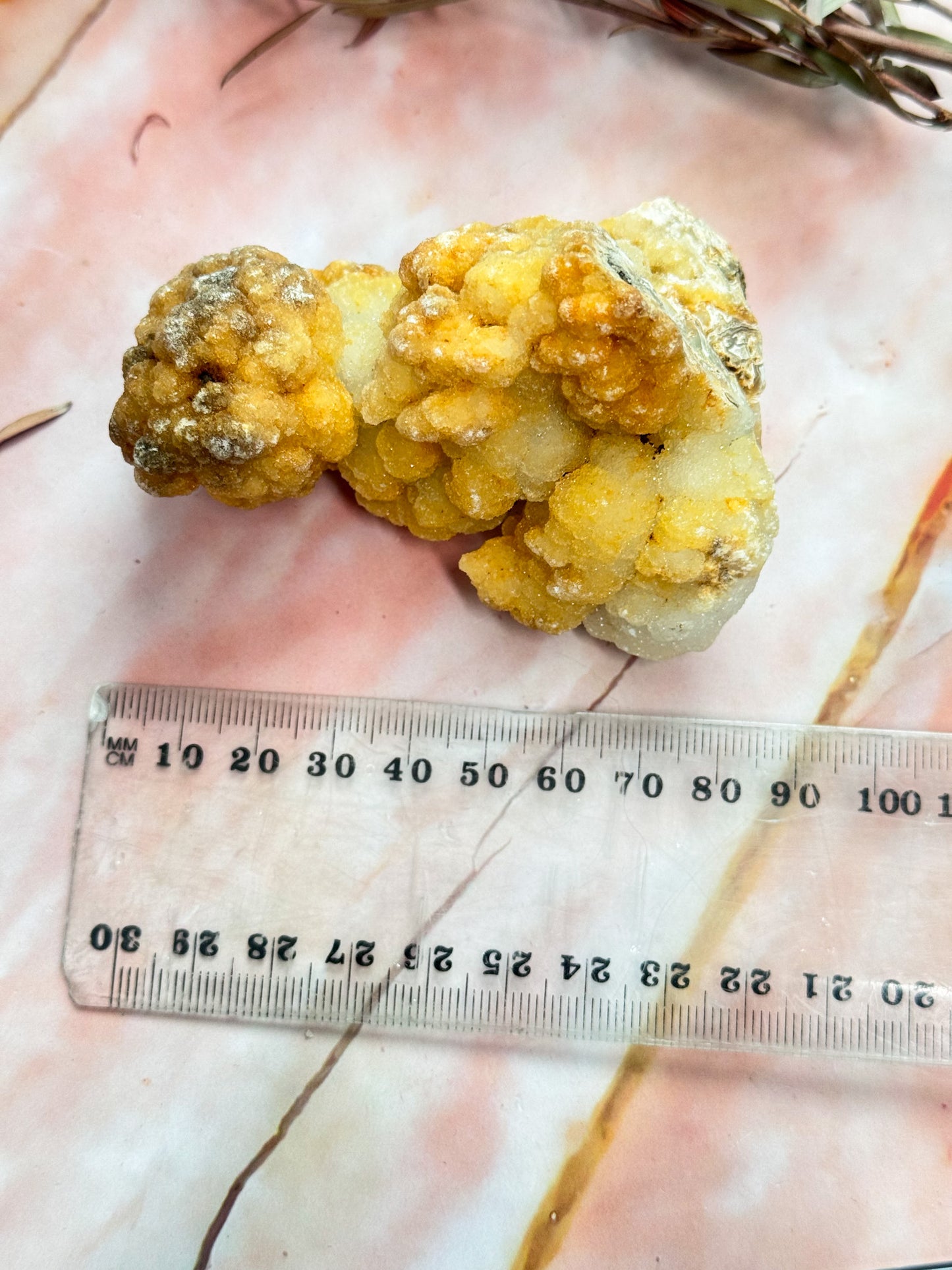 White Chalcedony Clusters