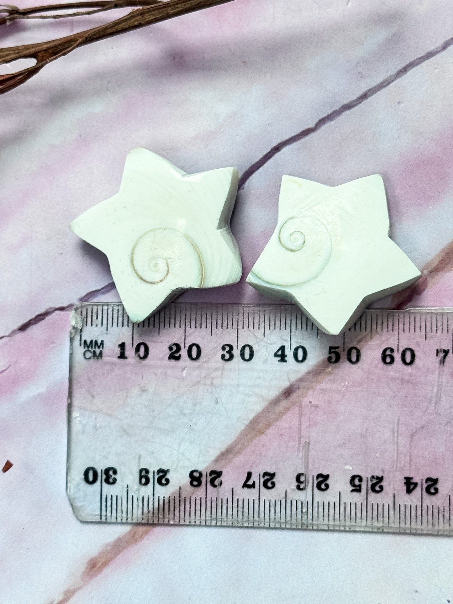 Shiva Shell Stars
