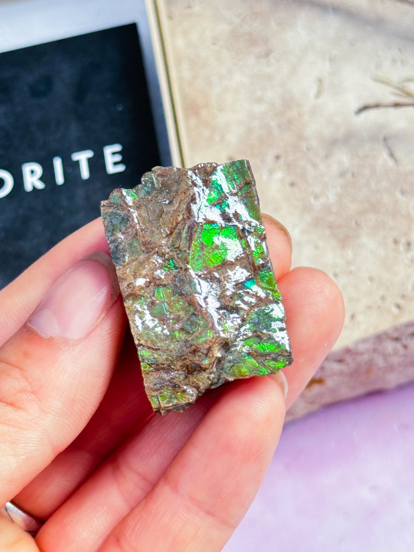Ammolite Specimen