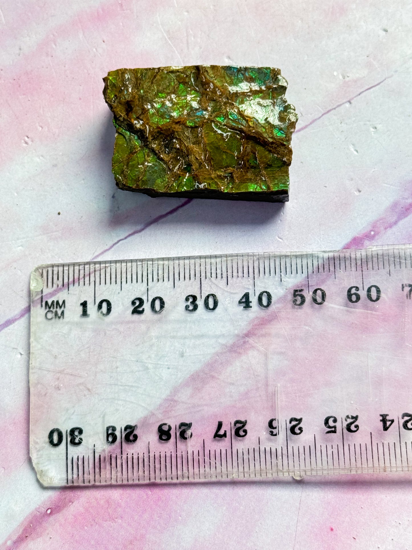 Ammolite Specimen