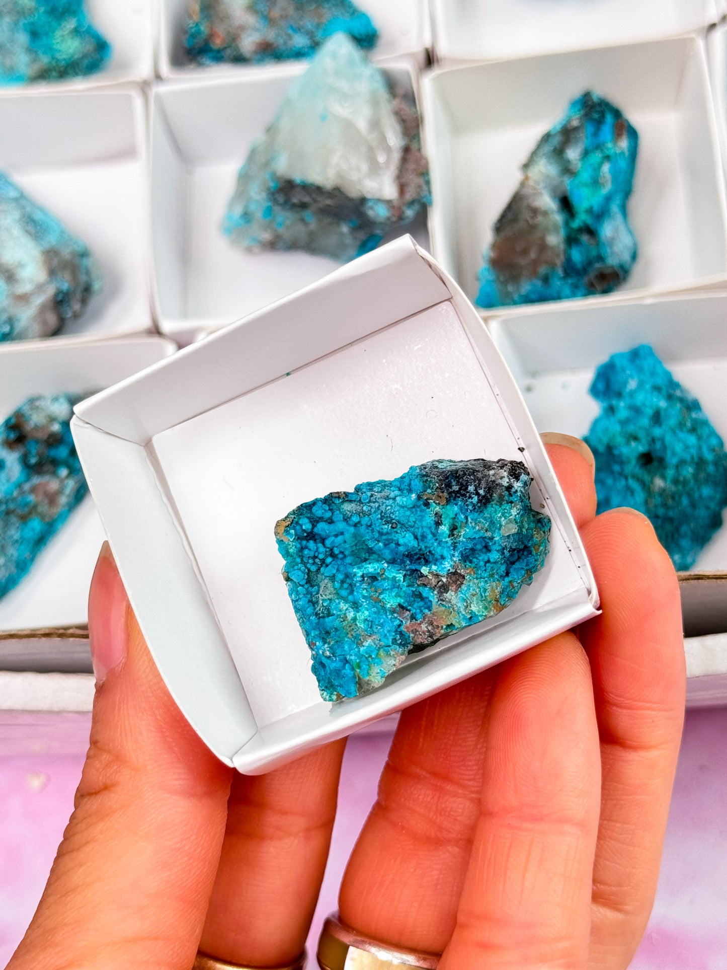 Chrysocolla on Quartz Specimens - Peru