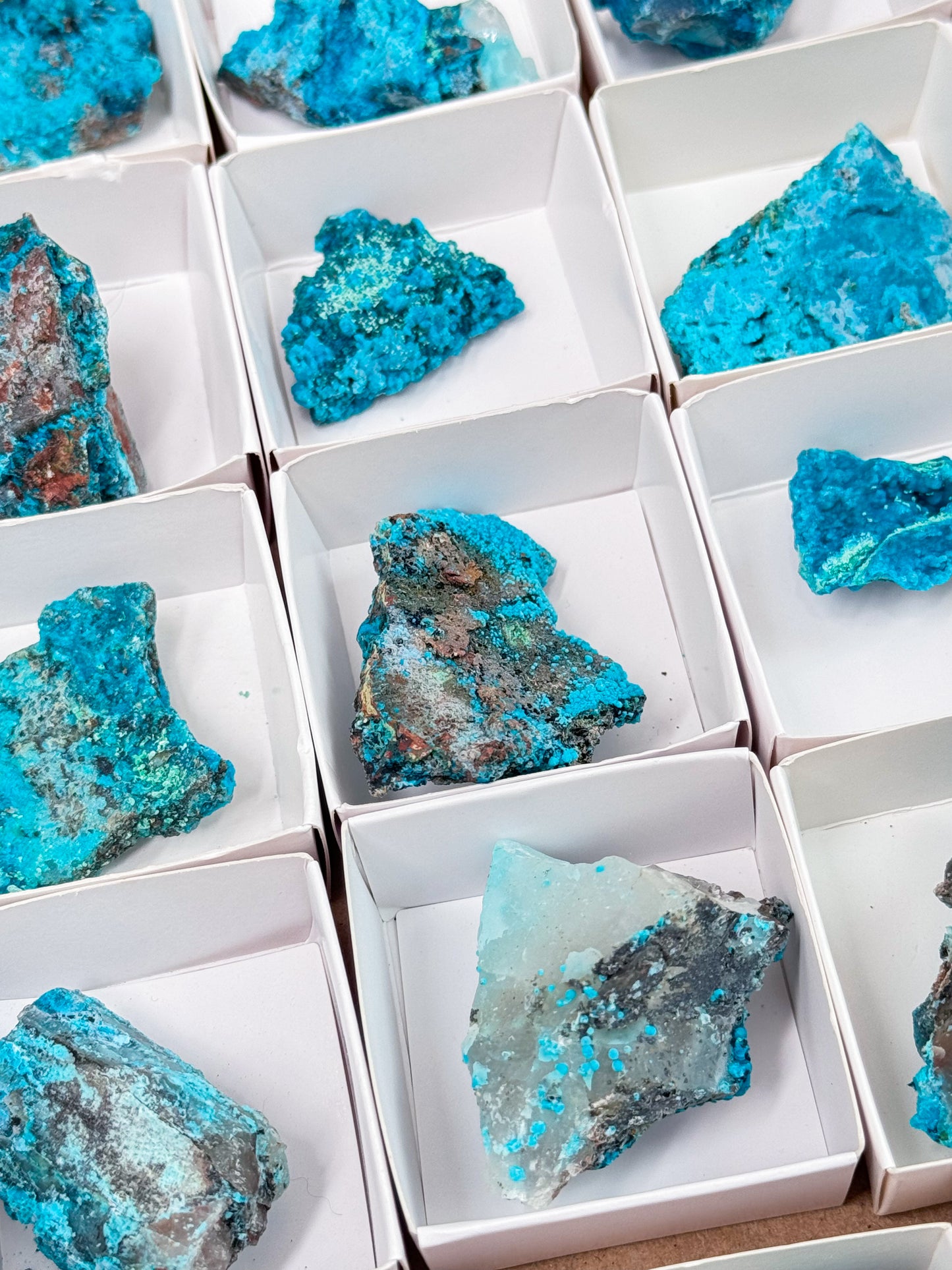 Chrysocolla on Quartz Specimens - Peru