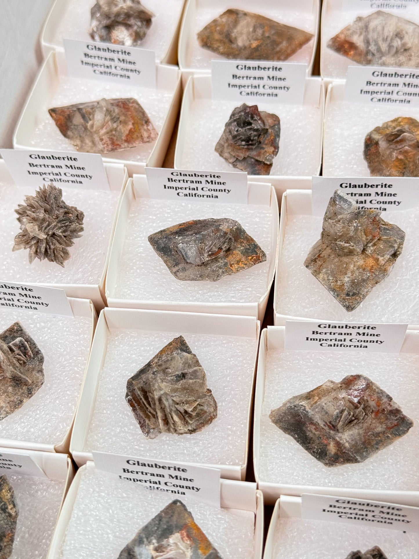 Glauberite Specimens