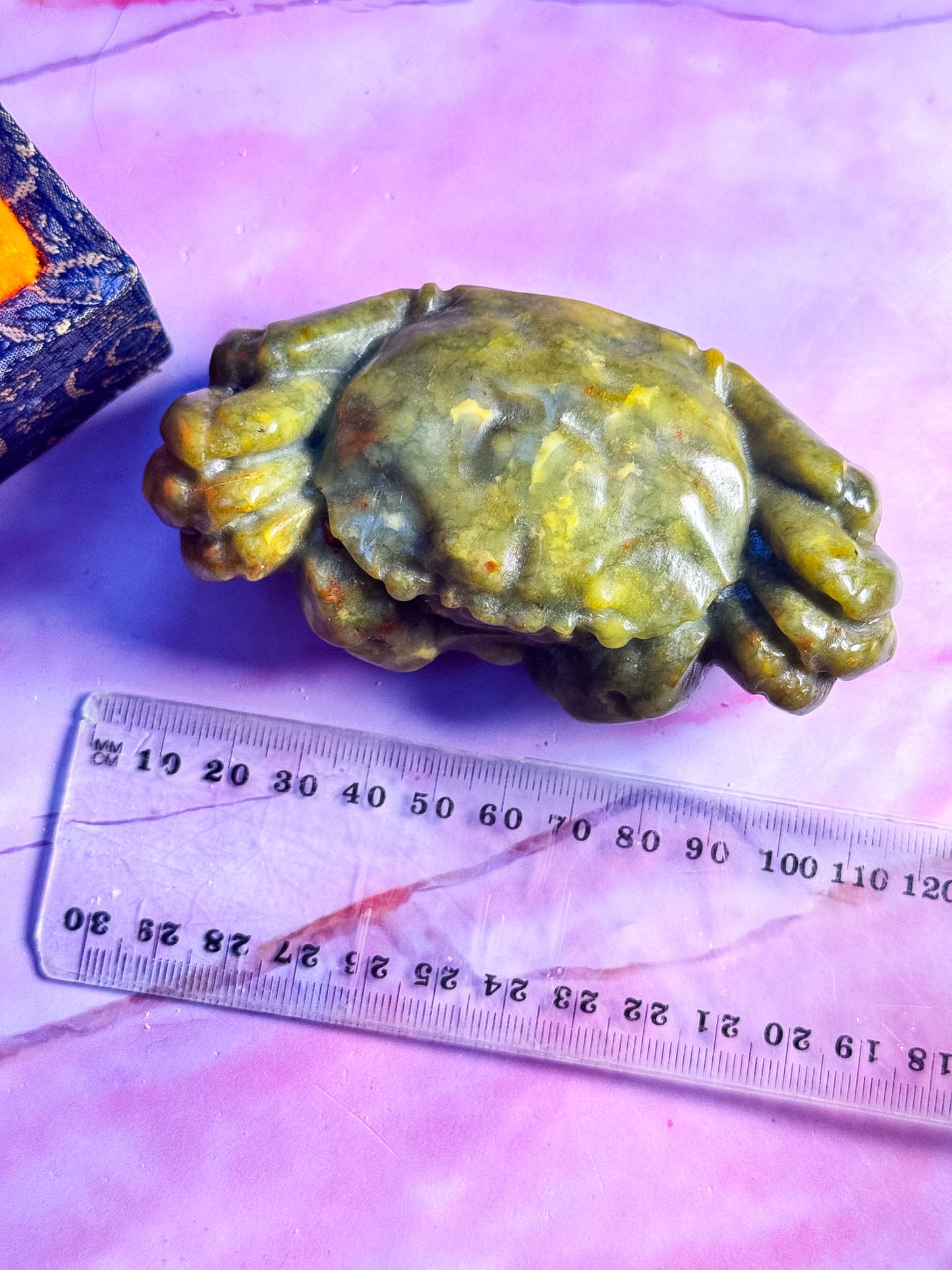 Serpentine Crab in Box