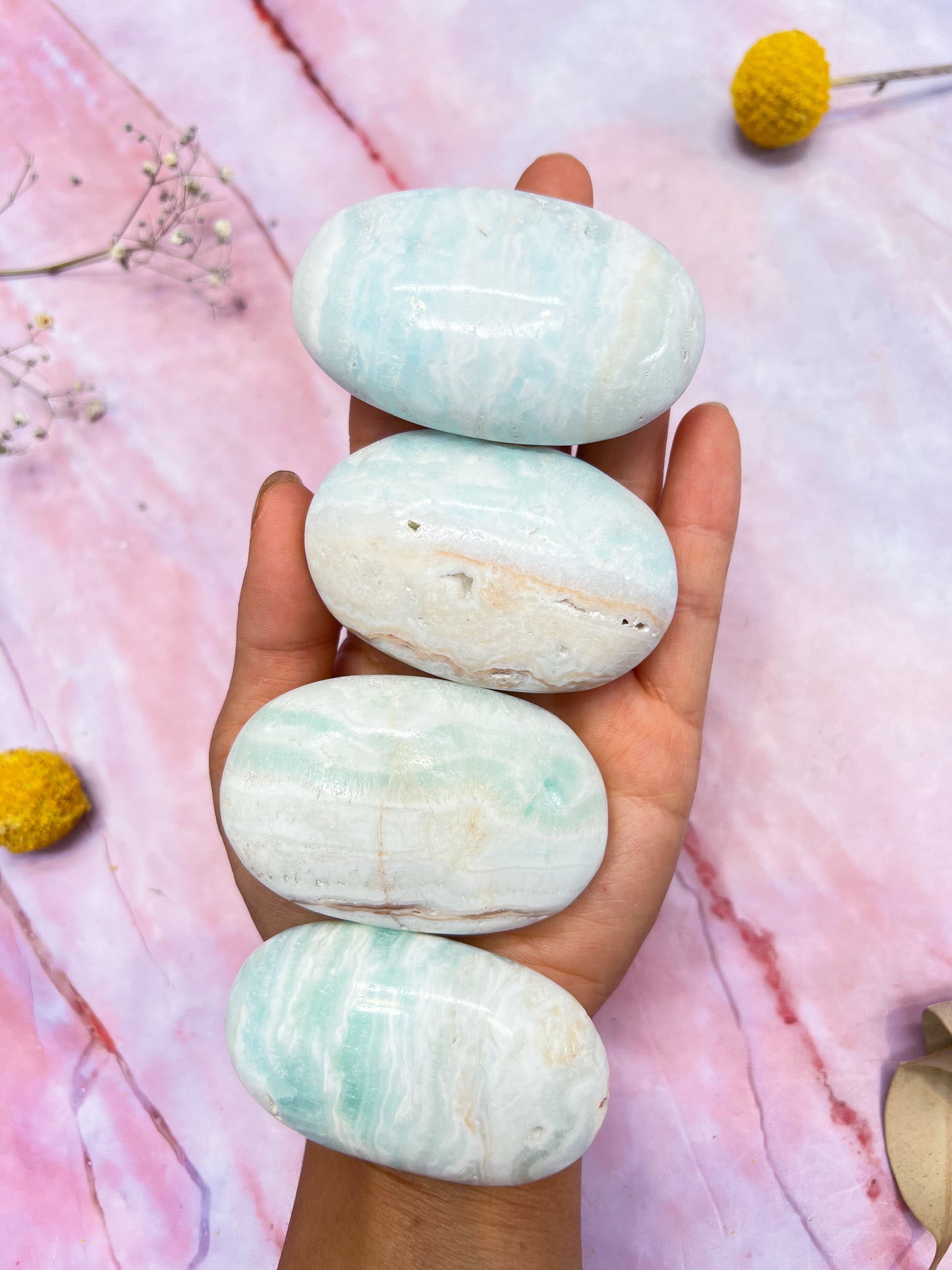 Caribbean Calcite Palmstones