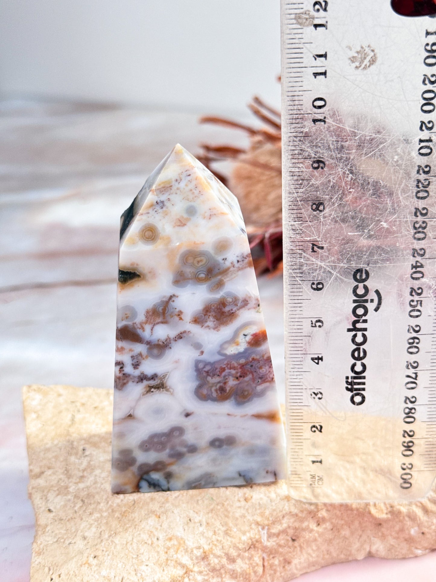 Orbicular Ocean Jasper Point