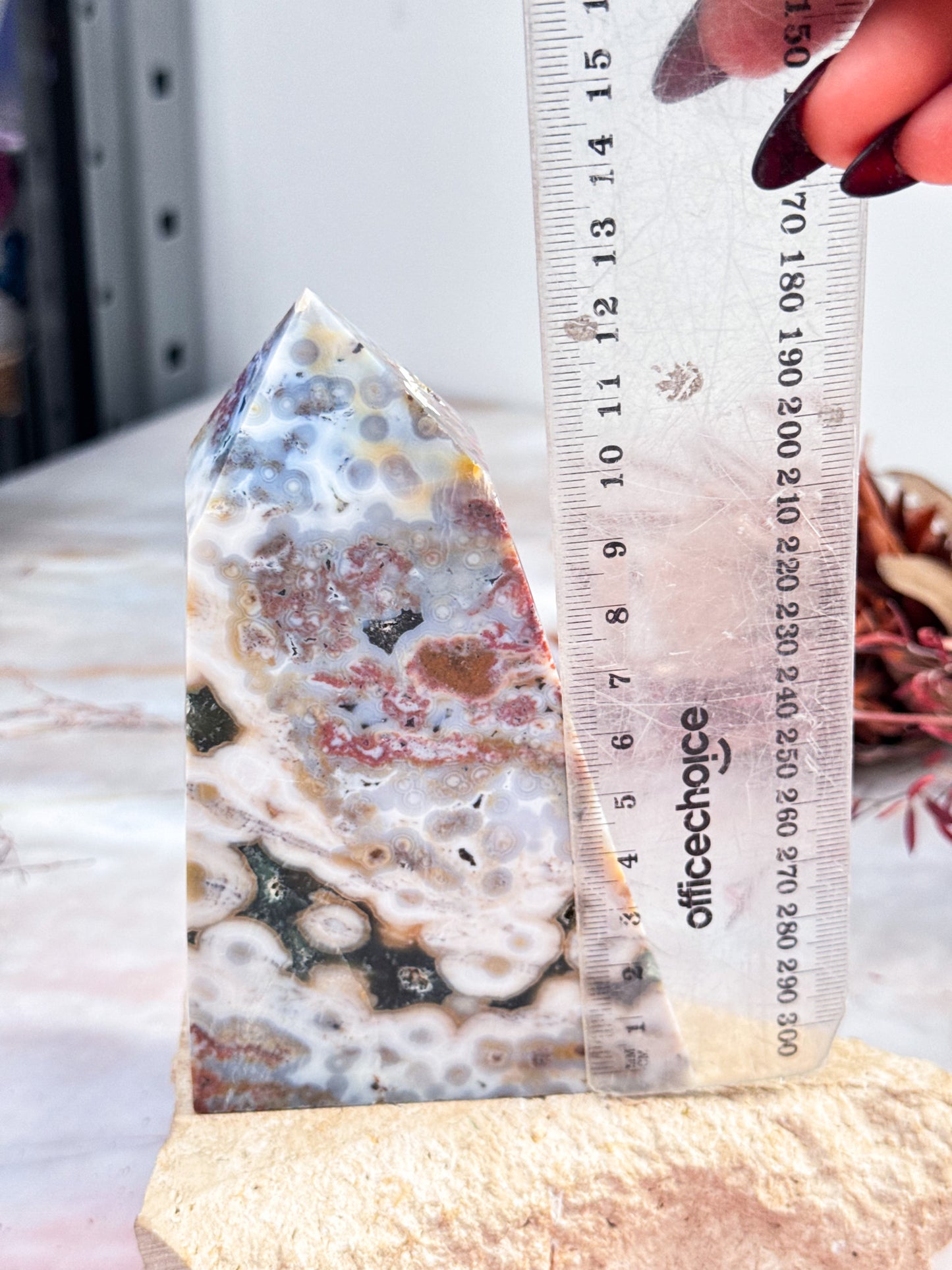 Orbicular Ocean Jasper Point