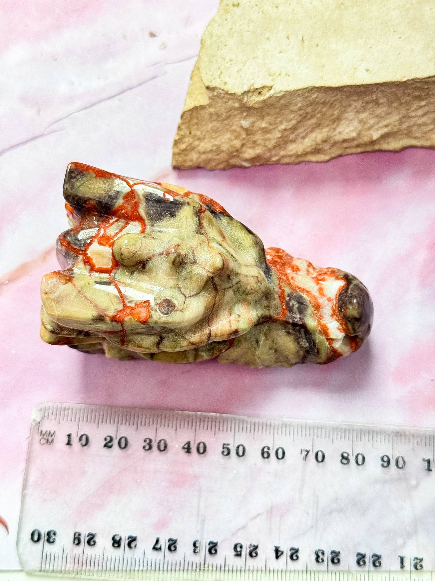 Money Agate Dragon Heads
