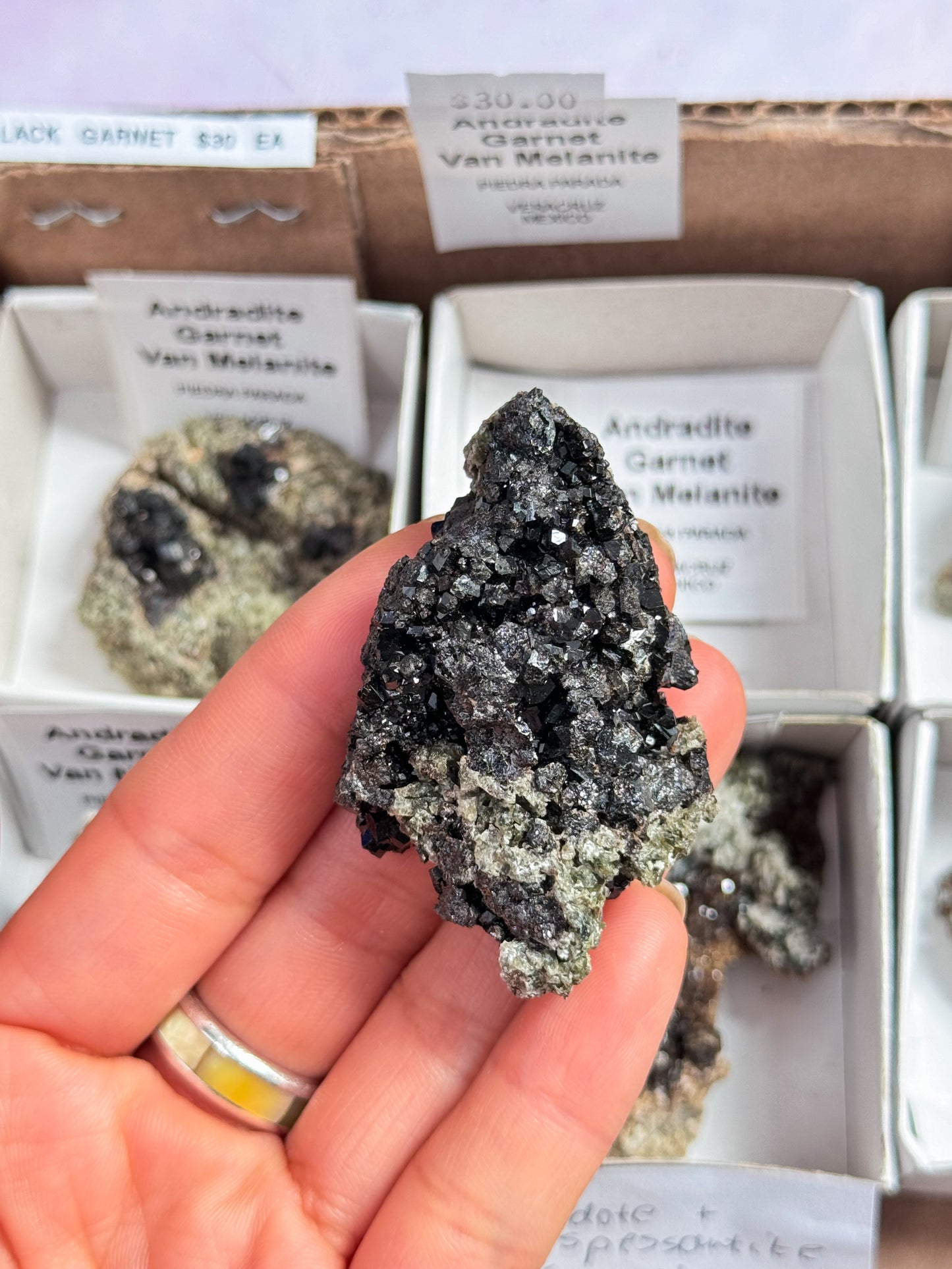 Andradite Black Garnet Specimens