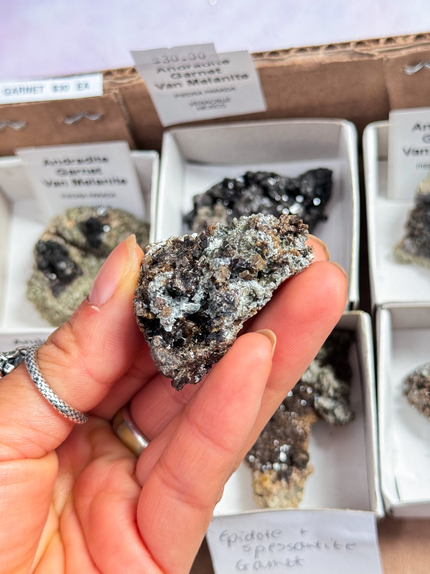 Andradite Black Garnet Specimens