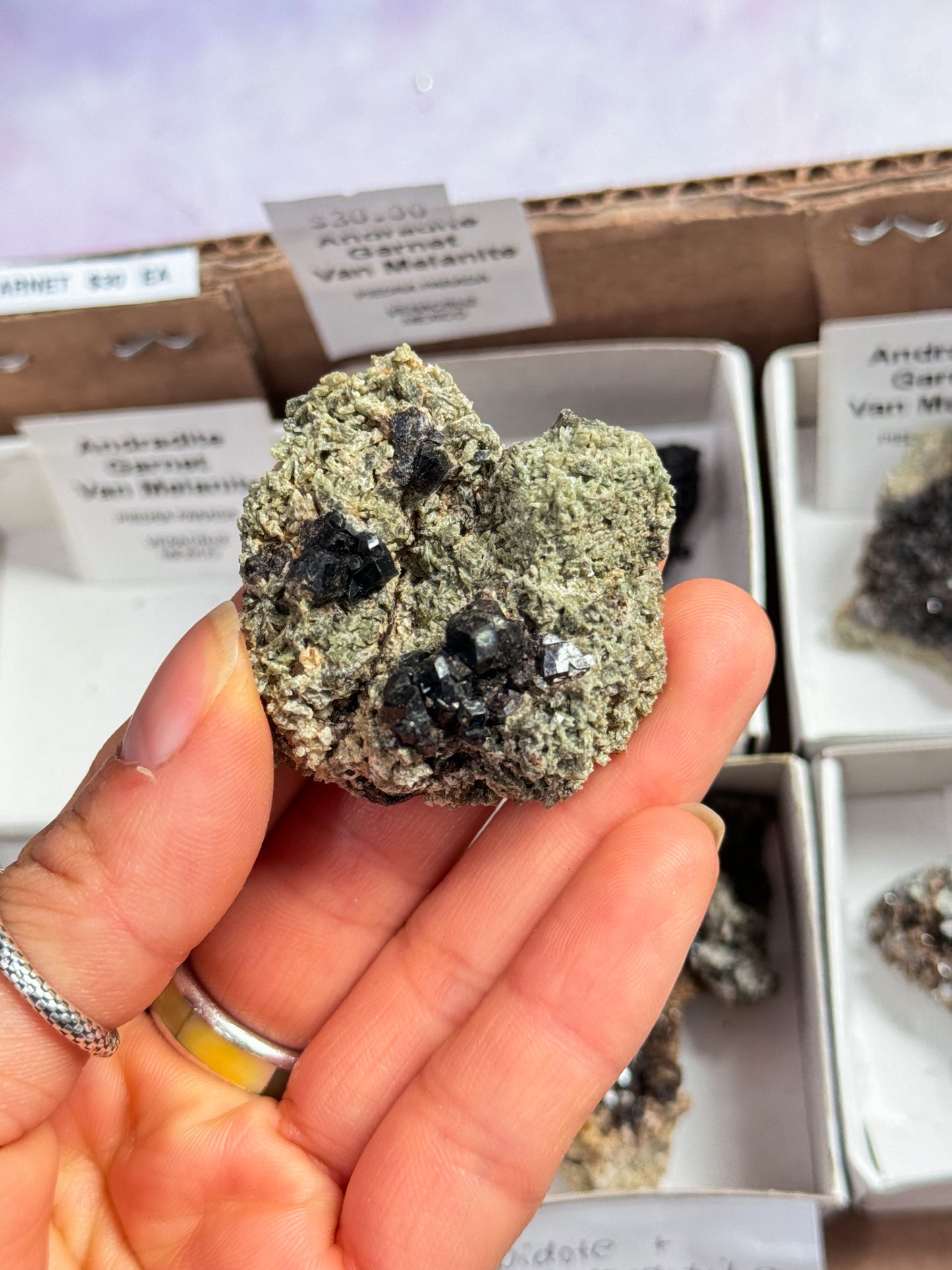Andradite Black Garnet Specimens