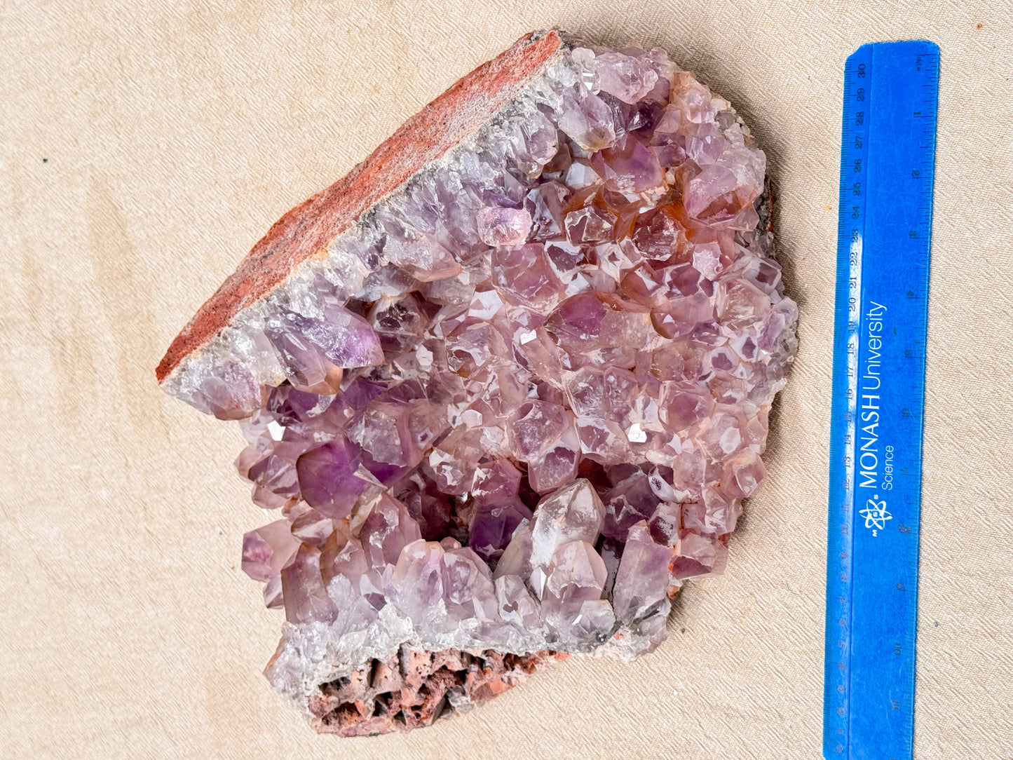 Large Jacaranda Amethyst Cluster