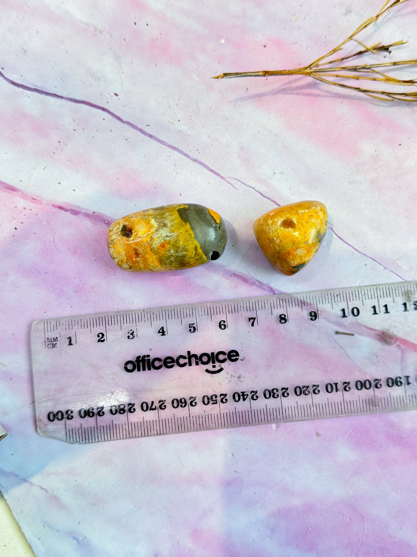 Bumblebee Jasper Tumbles