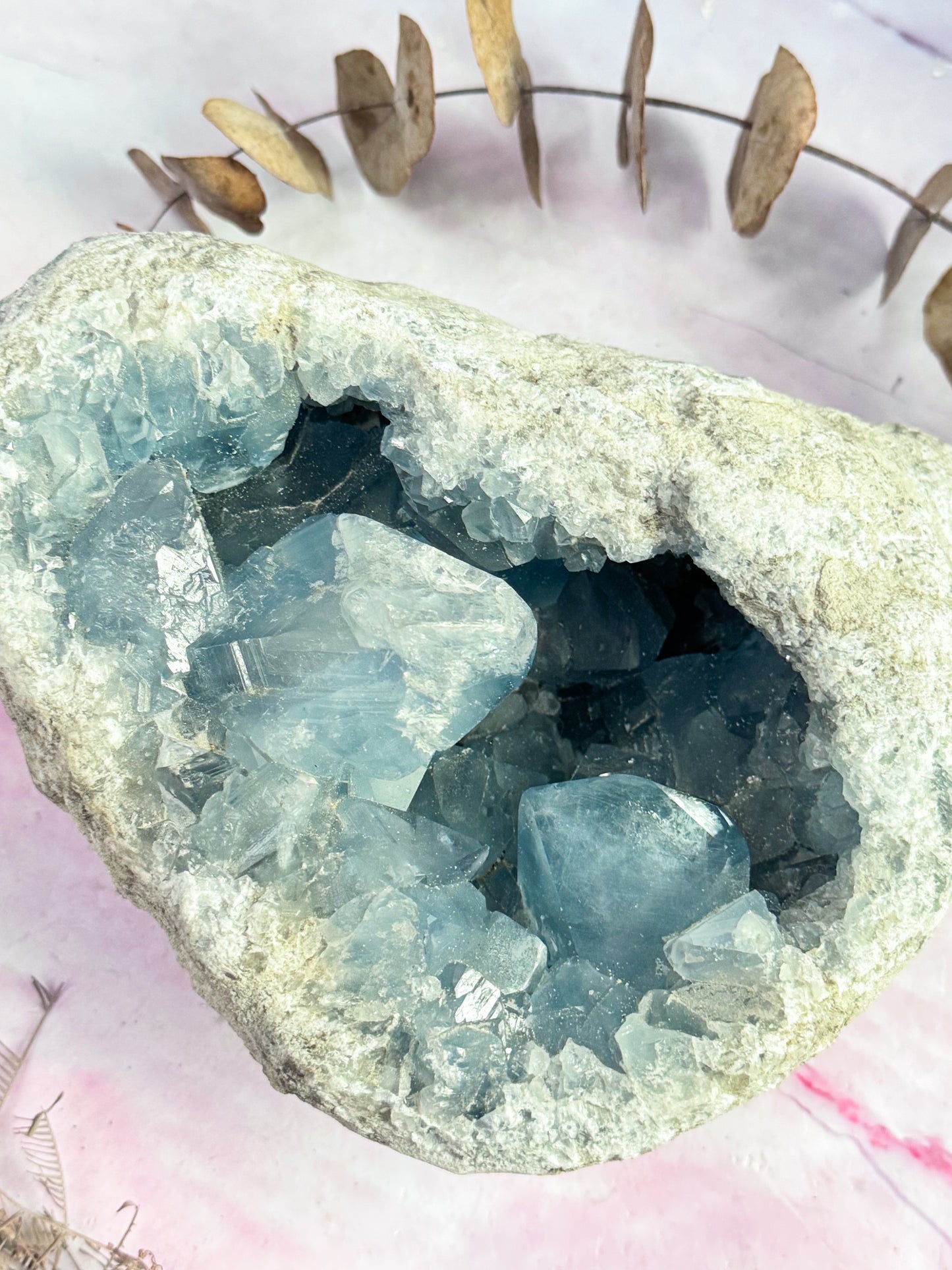 Celestite Geode