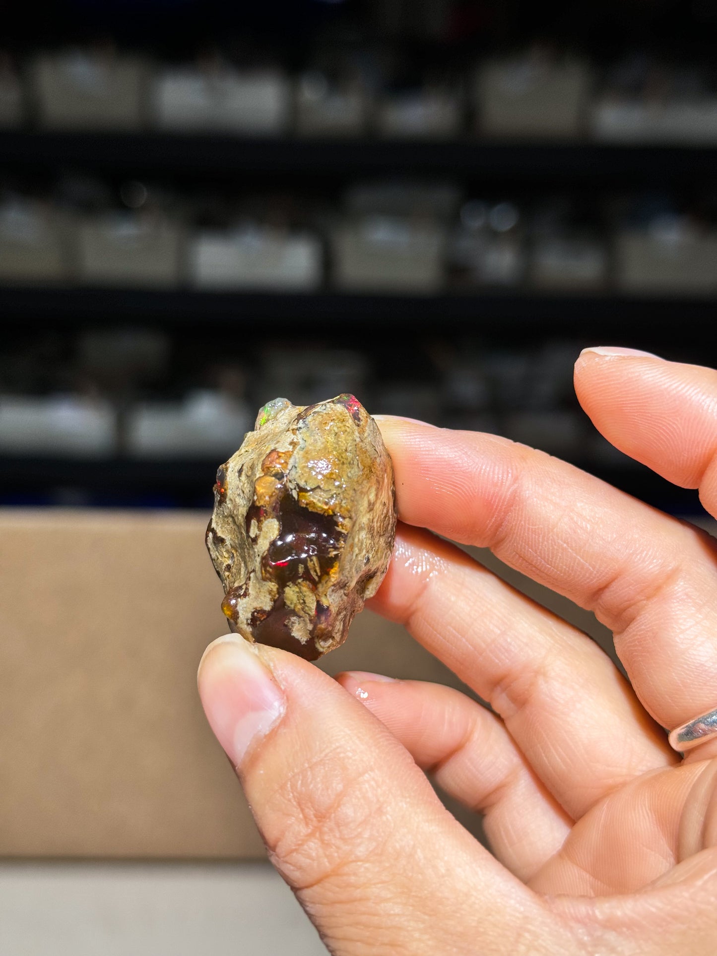 Hydrophane Ethiopian Opal Specimen - C1
