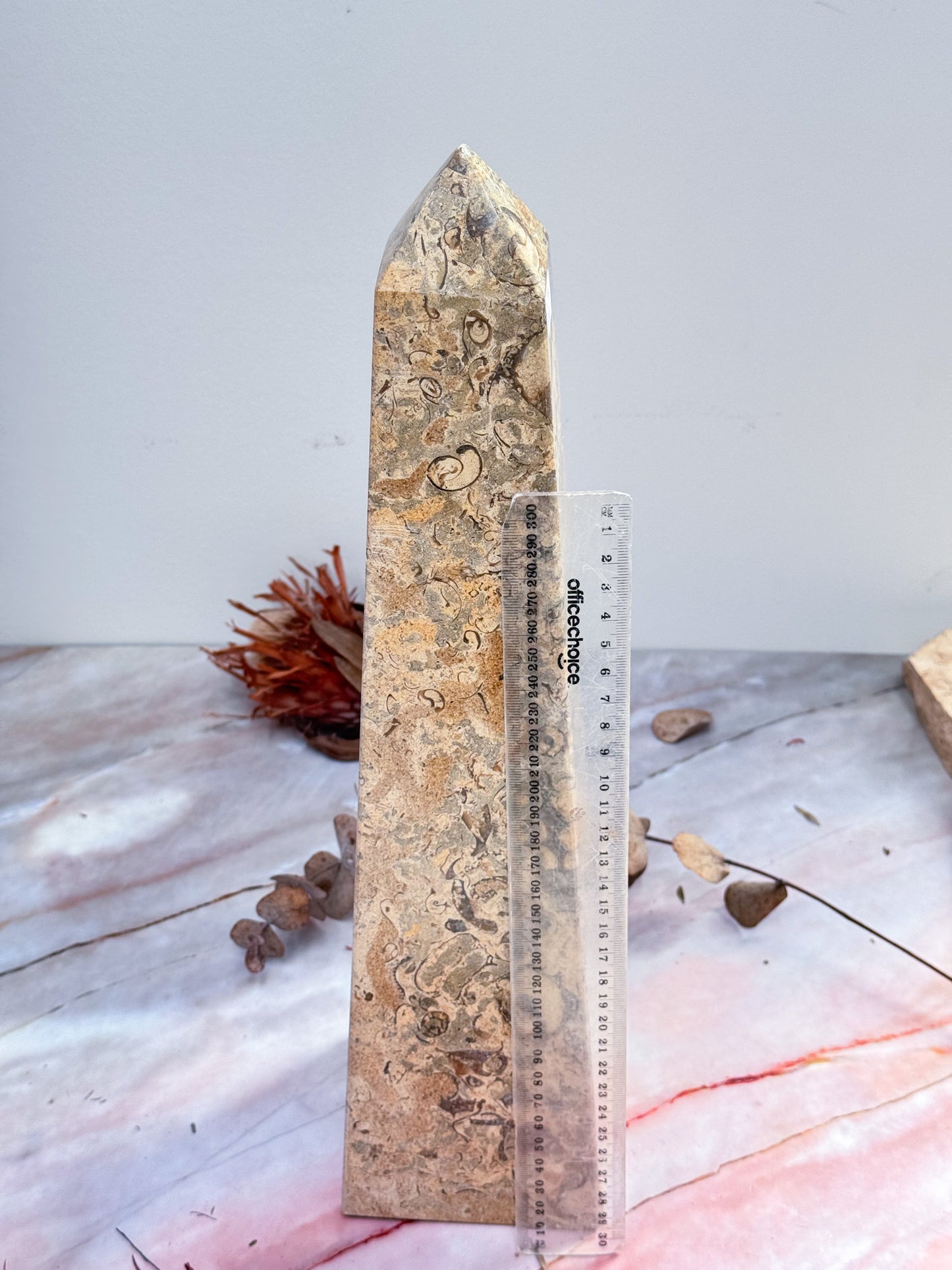 Large Fossil Stone Tower