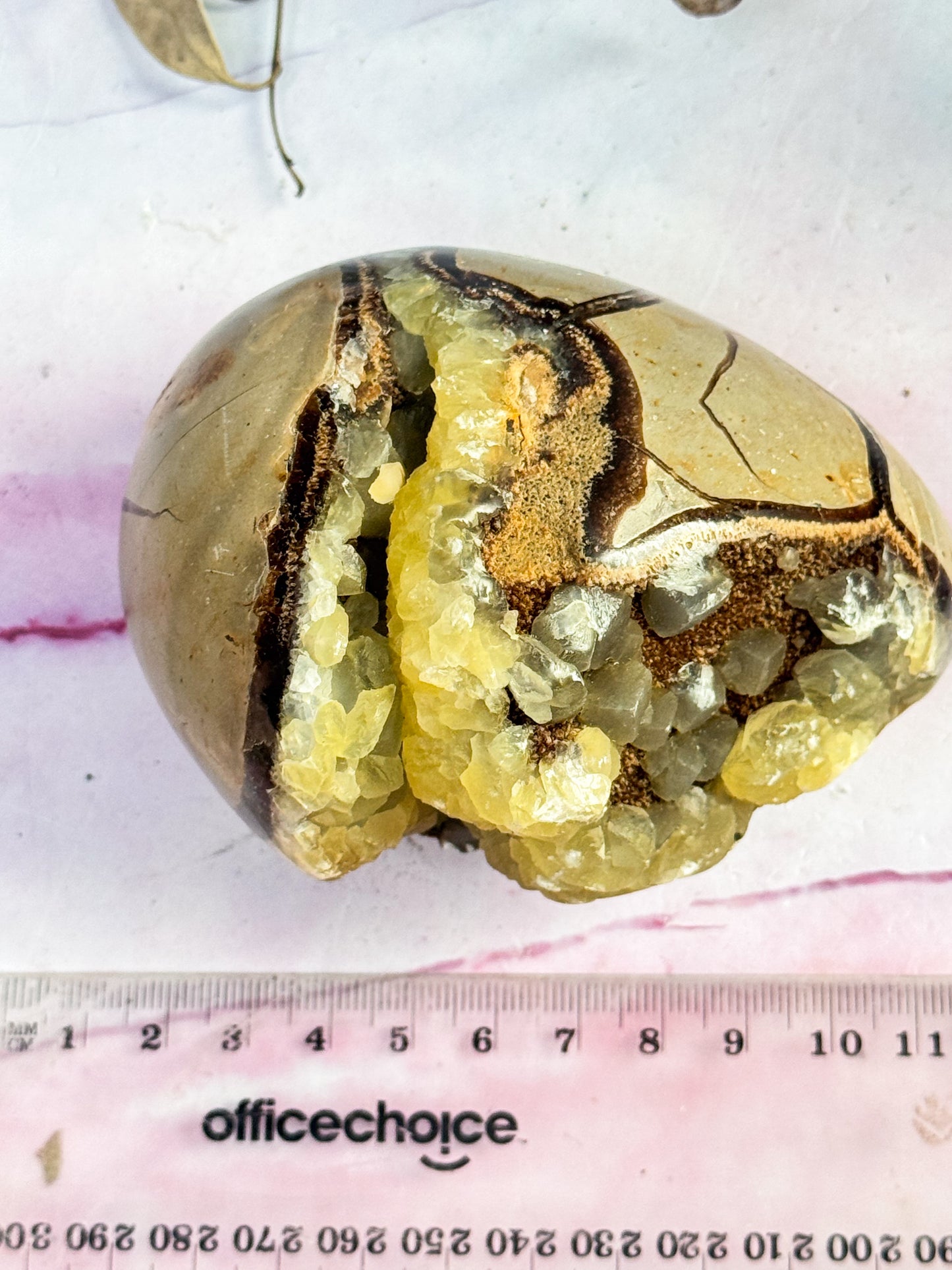 Septarian Dragon Egg