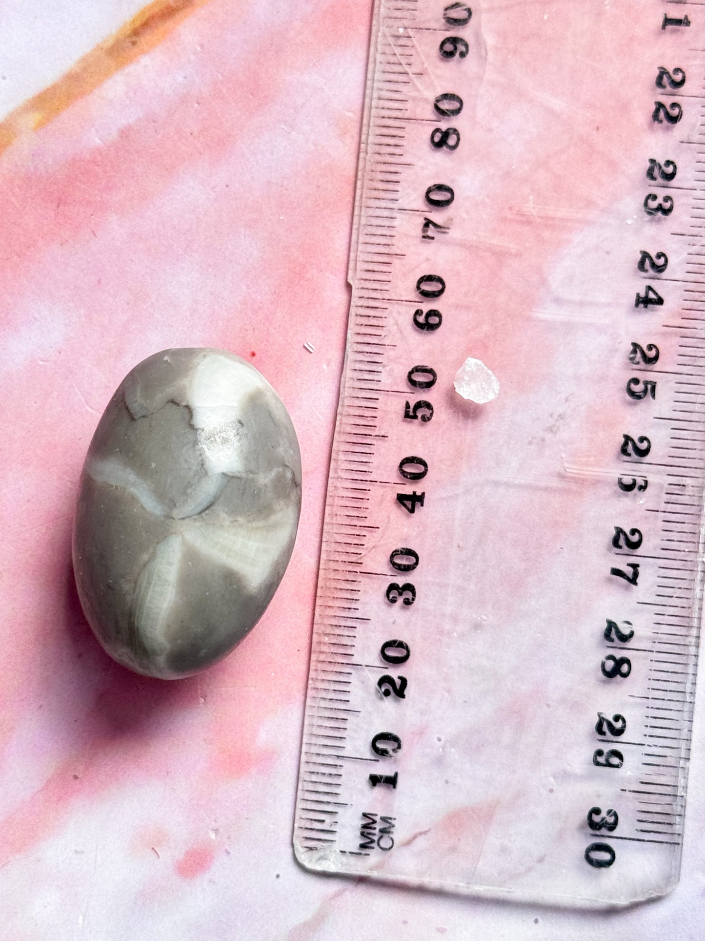 Thousand Eye Fossil Tumbles