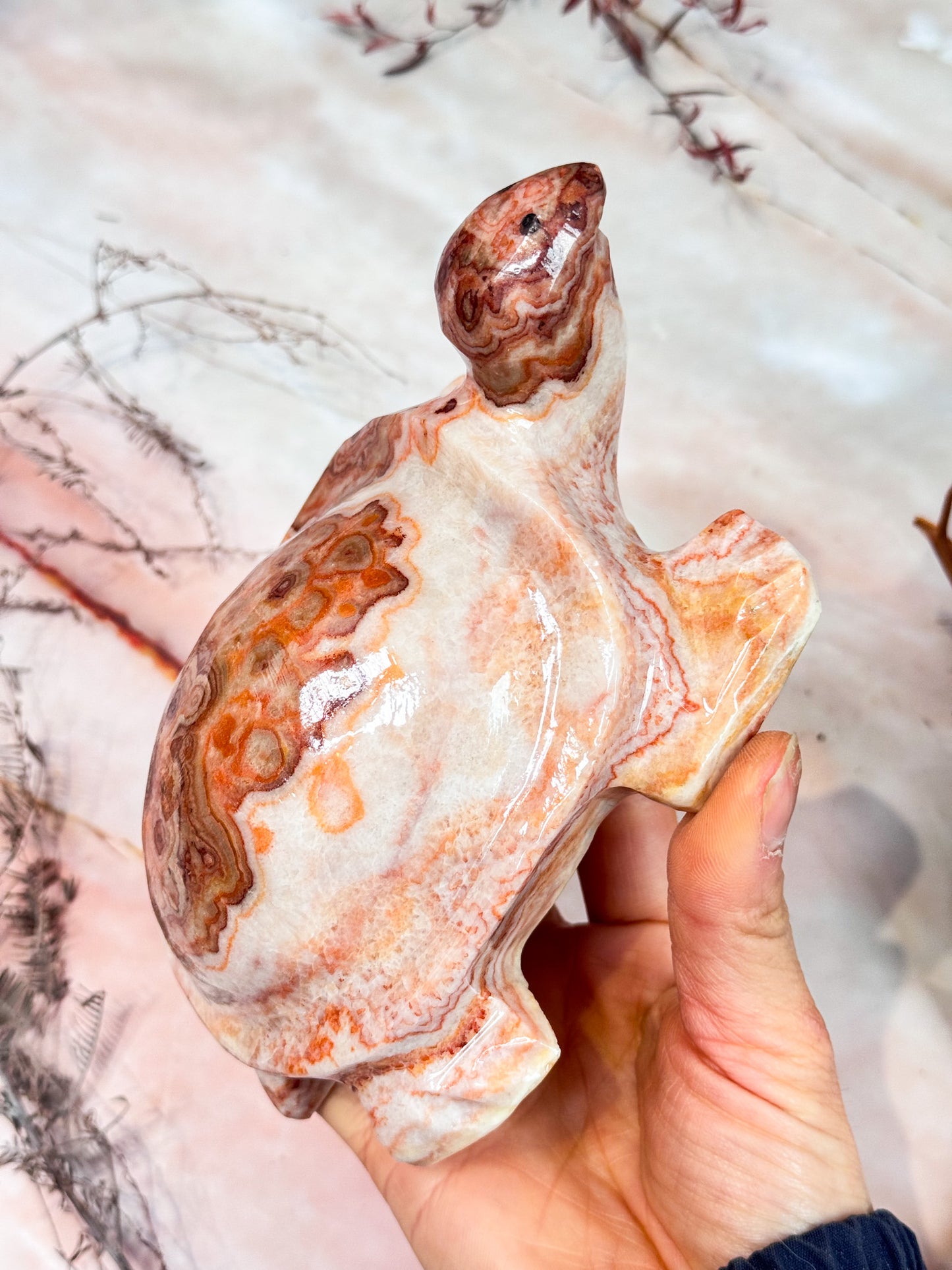 Pork Stone Turtle Carving