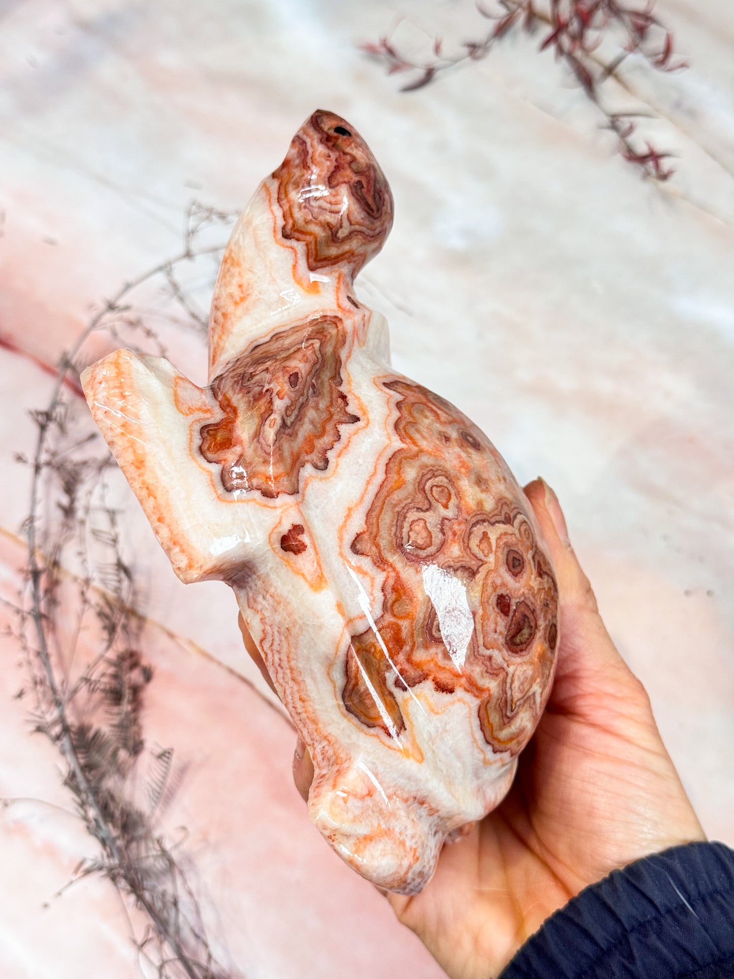 Pork Stone Turtle Carving