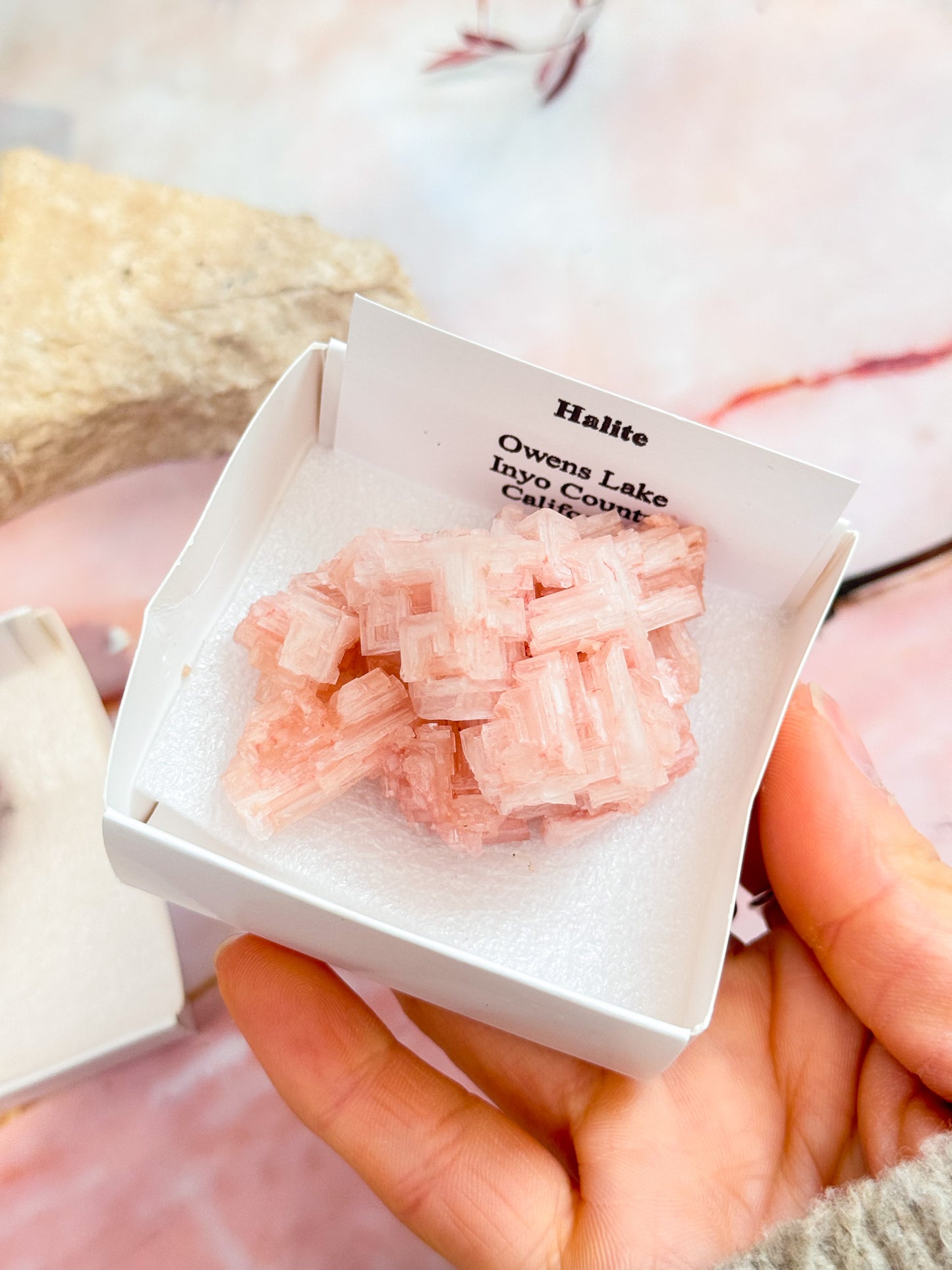 Halite Specimens