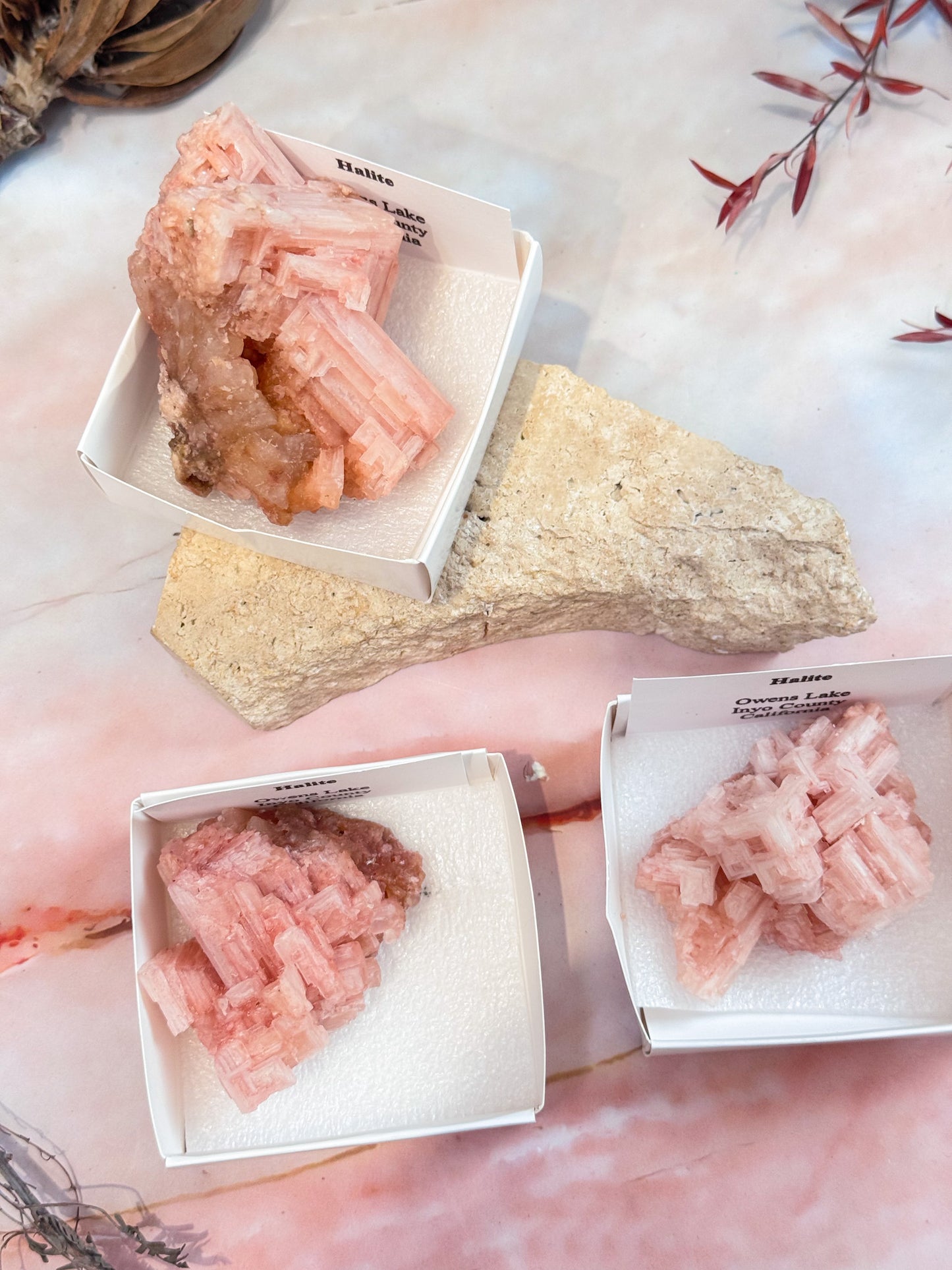 Halite Specimens