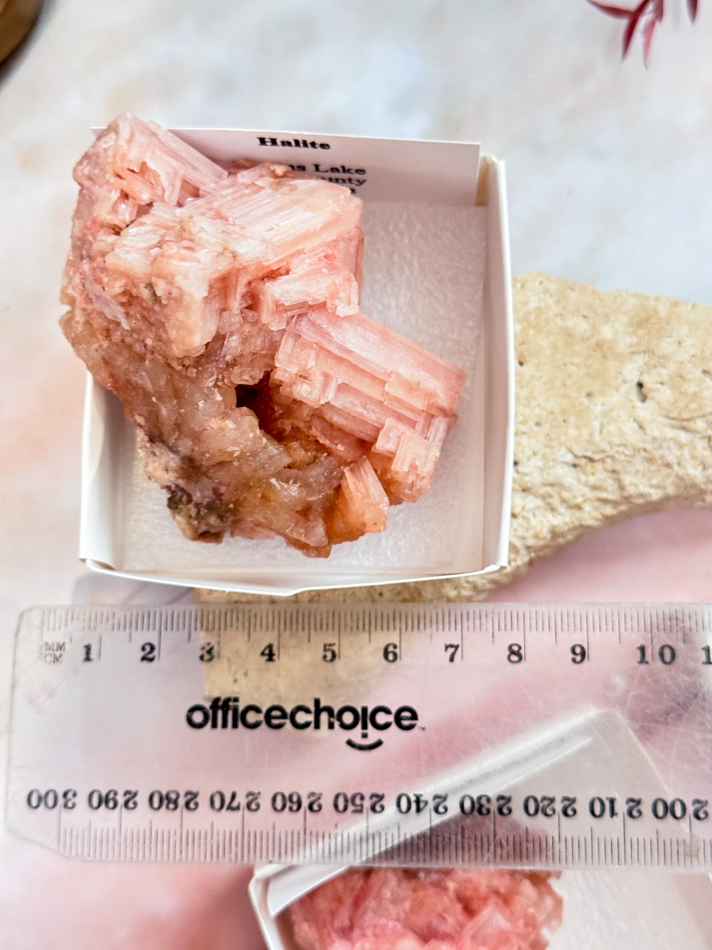 Halite Specimens
