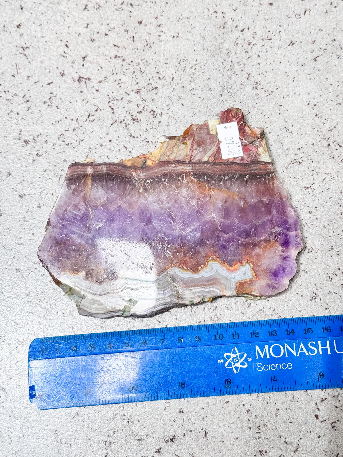 Amethyst with Crazy Lace Agate Slice