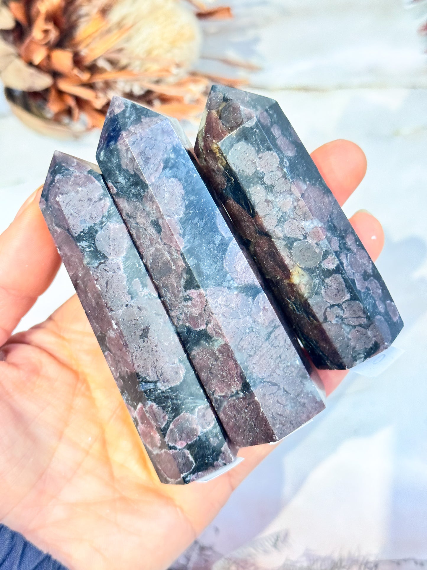Garnet in Arfvedsonite Points