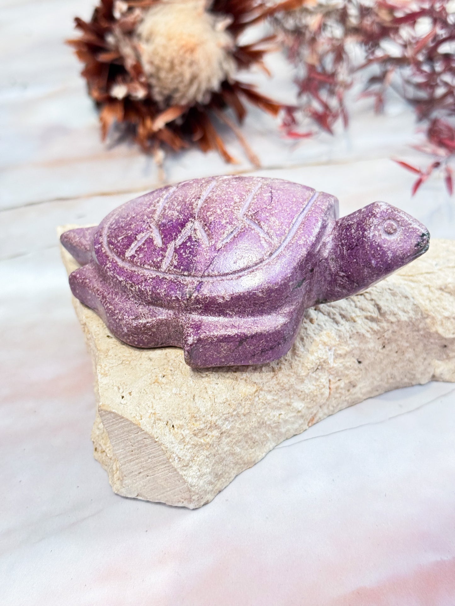 Atlantasite Turtle Carving