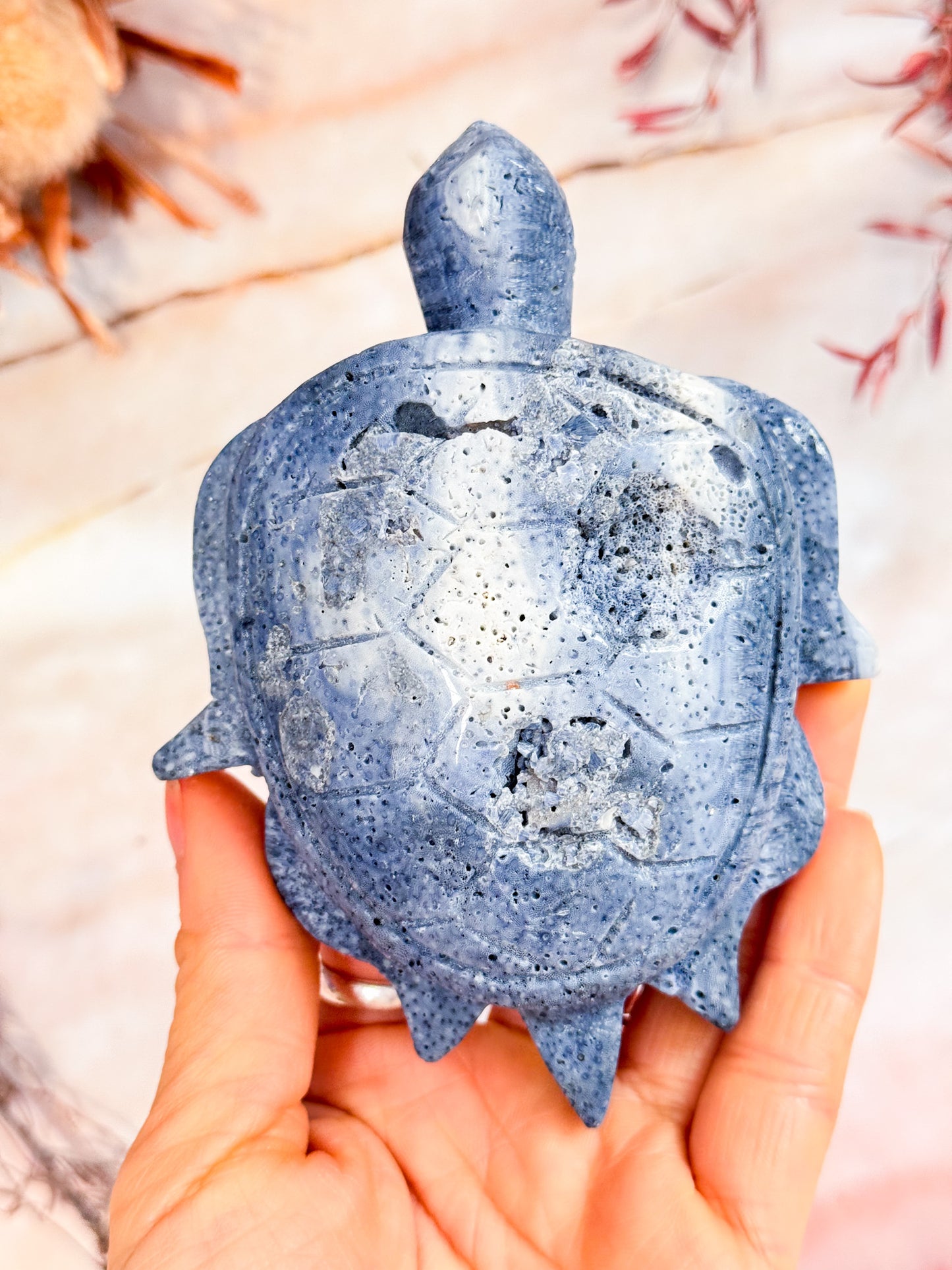 Blue Coral Turtle Carving