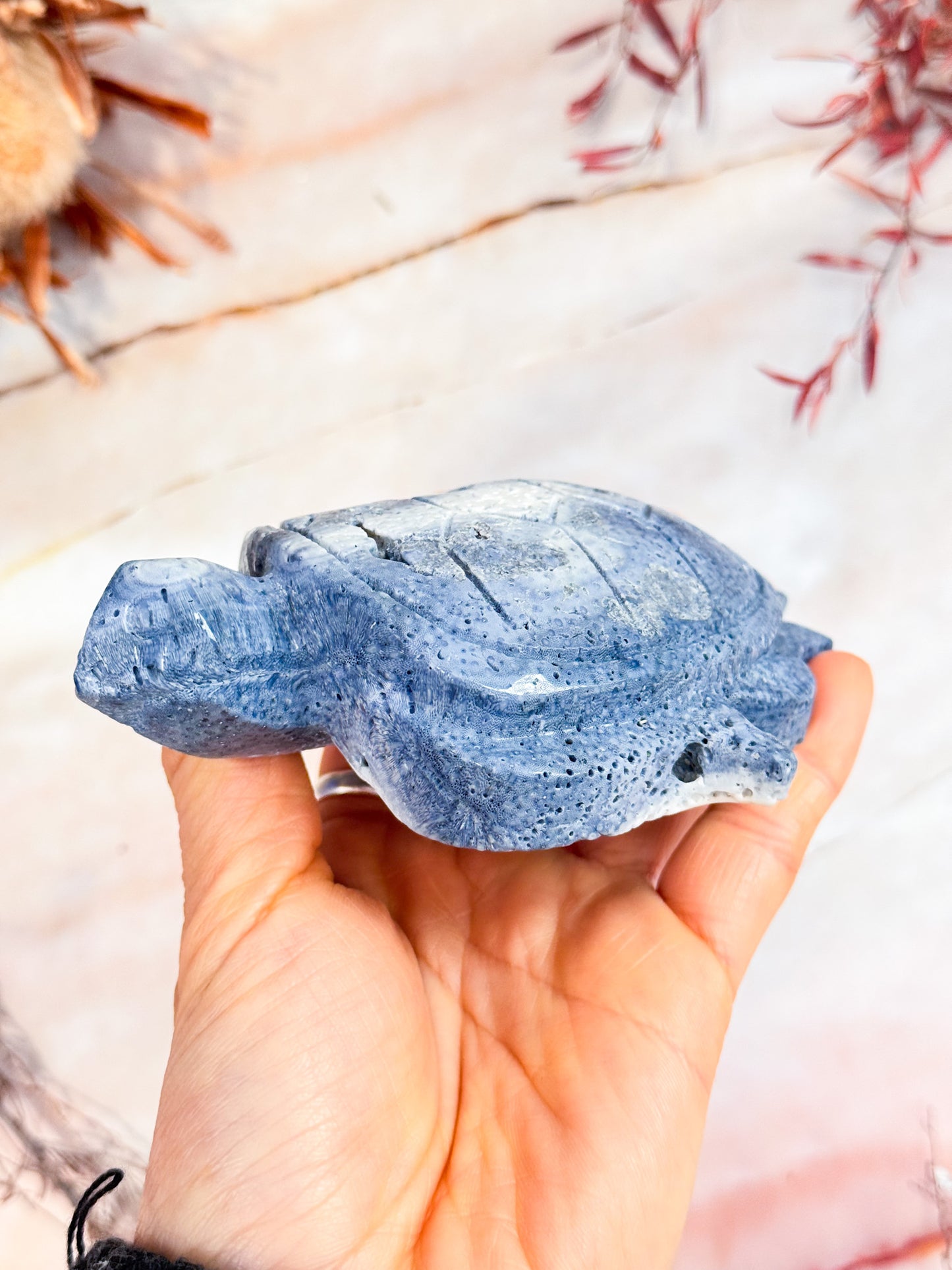 Blue Coral Turtle Carving