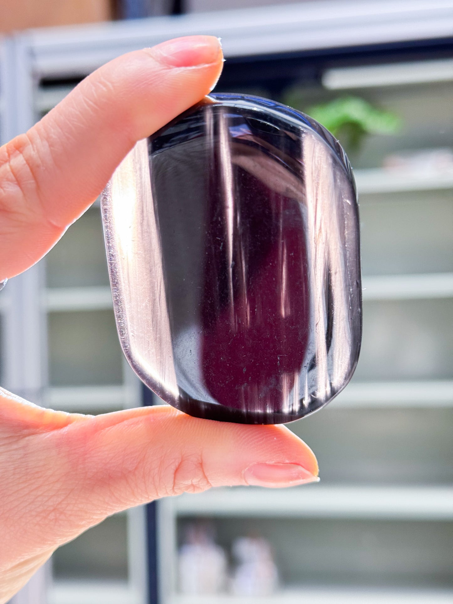 Midnight Lace Obsidian Palmstones