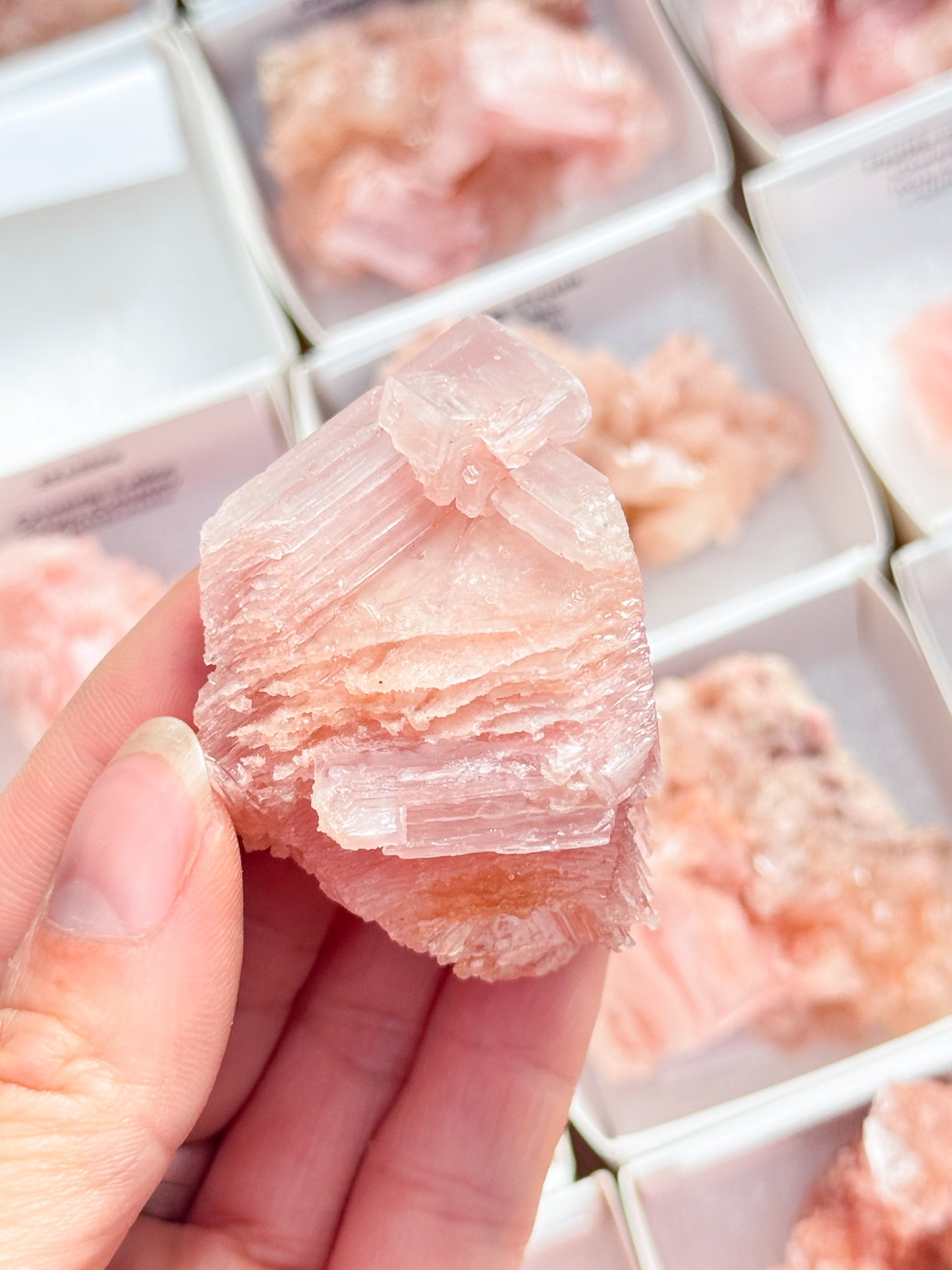 Halite Specimens