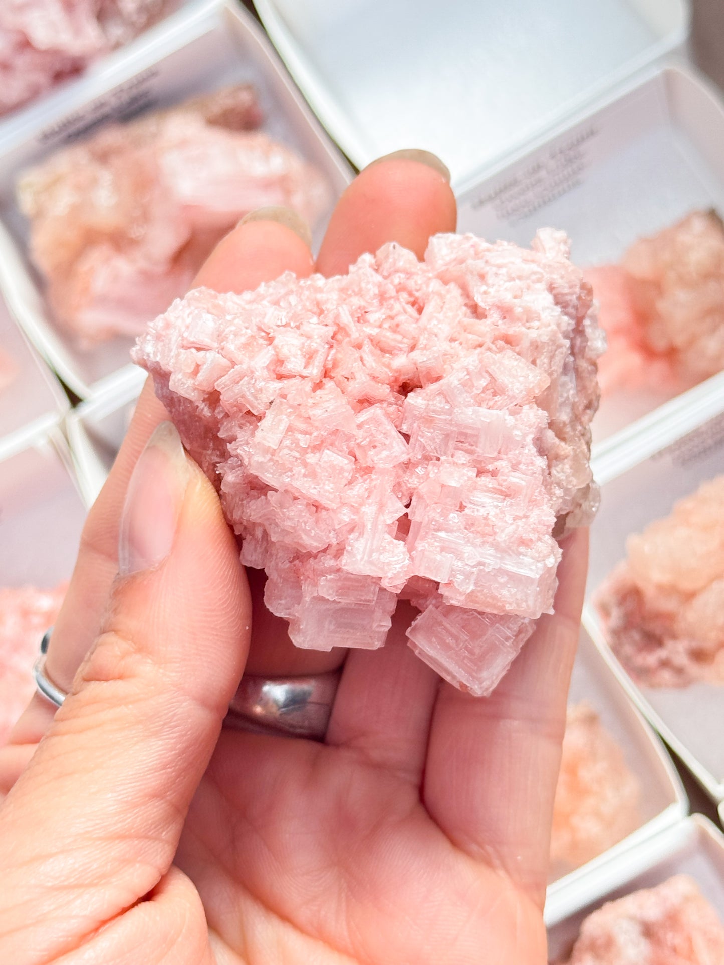 Halite Specimens