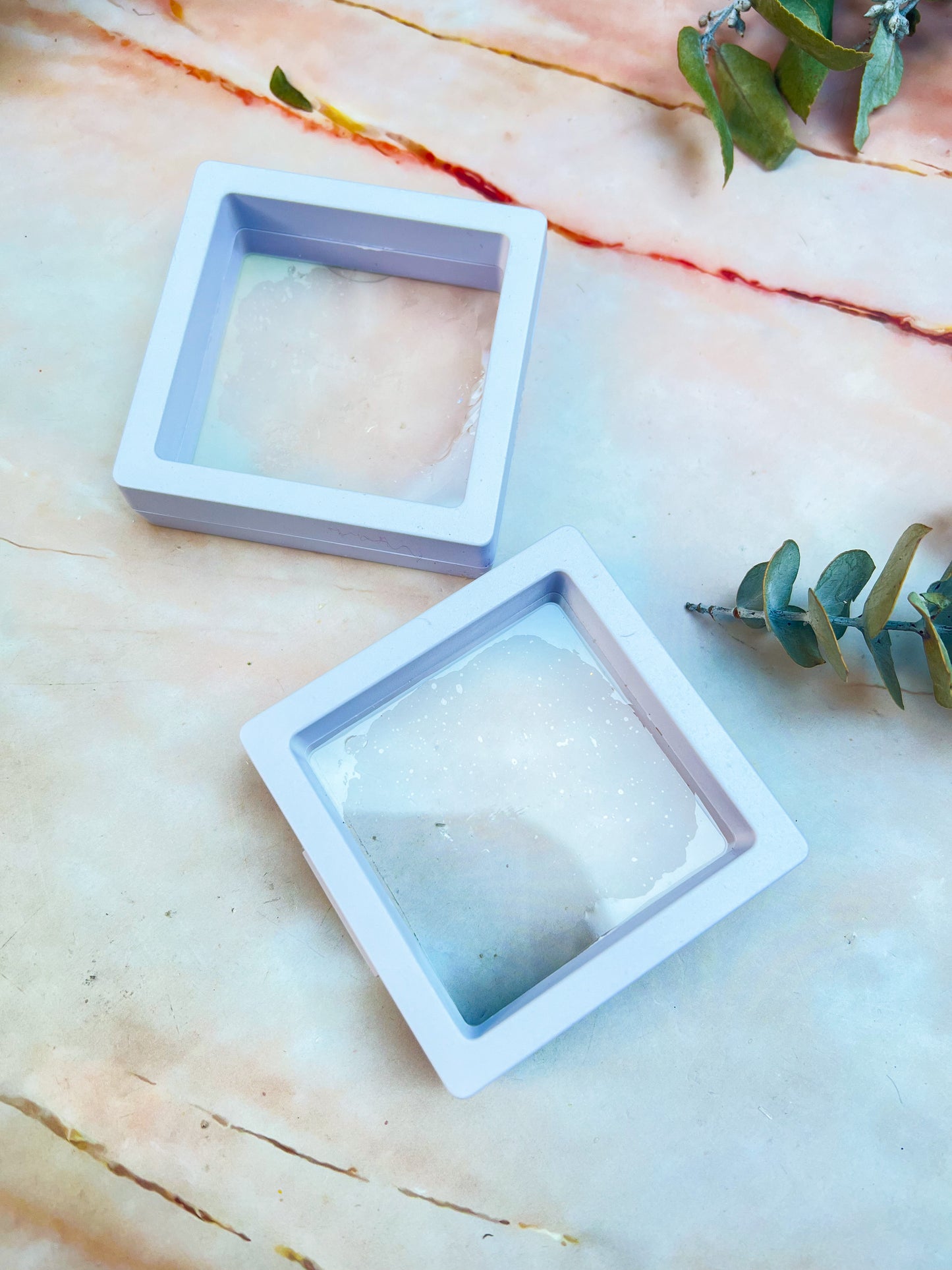 Membrane Display Cases