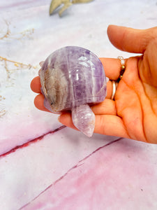 Amethyst and Crazy Lace Agate Turtle