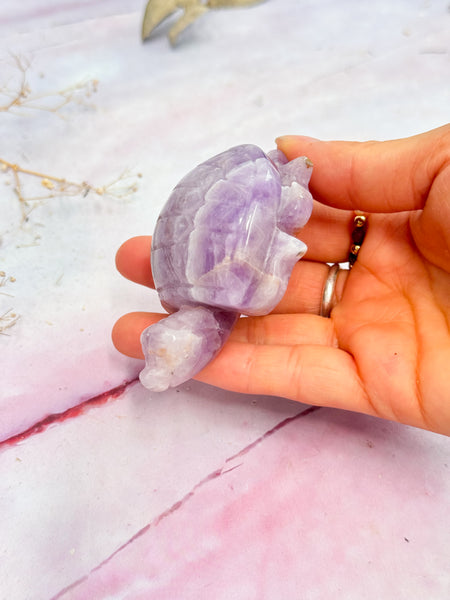 Amethyst and Crazy Lace Agate Turtle