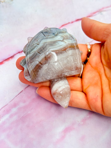 Amethyst and Crazy Lace Agate Turtle