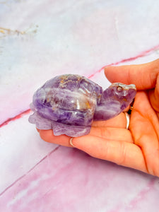 Amethyst and Crazy Lace Agate Turtle