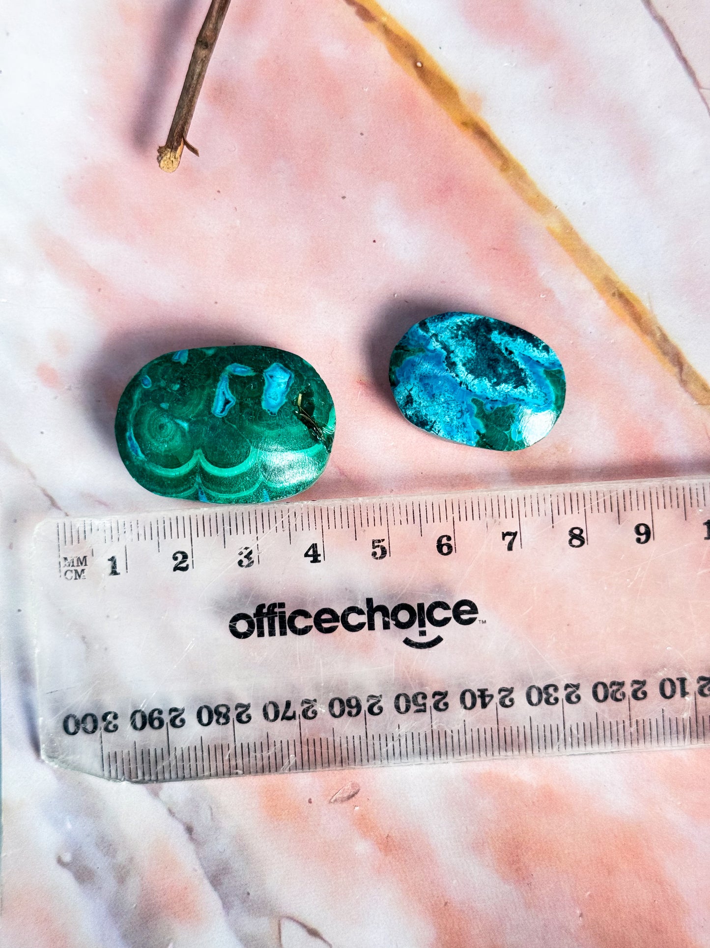 Malacholla Mini Palmstones