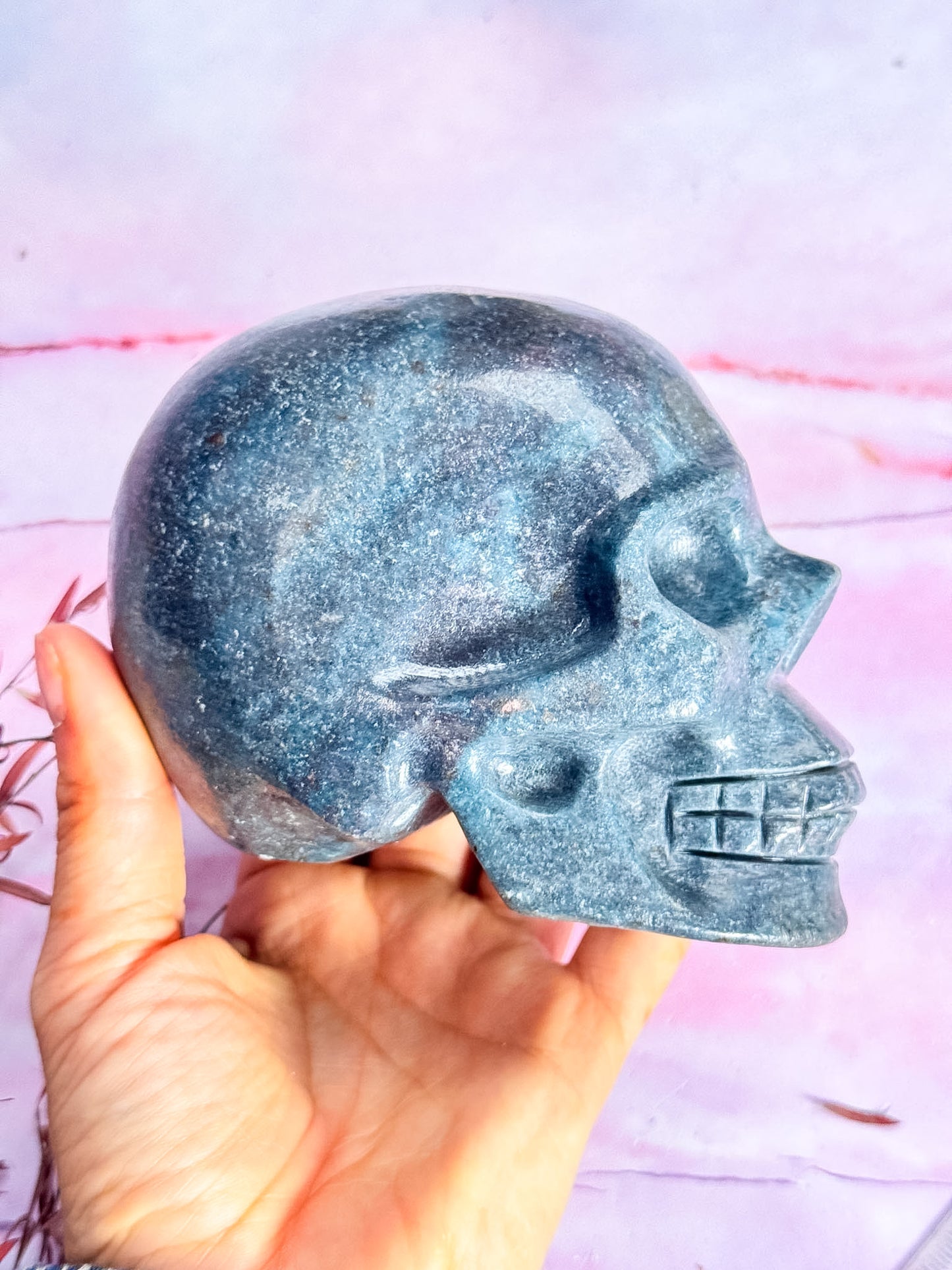 Ruby in Kyanite Skull