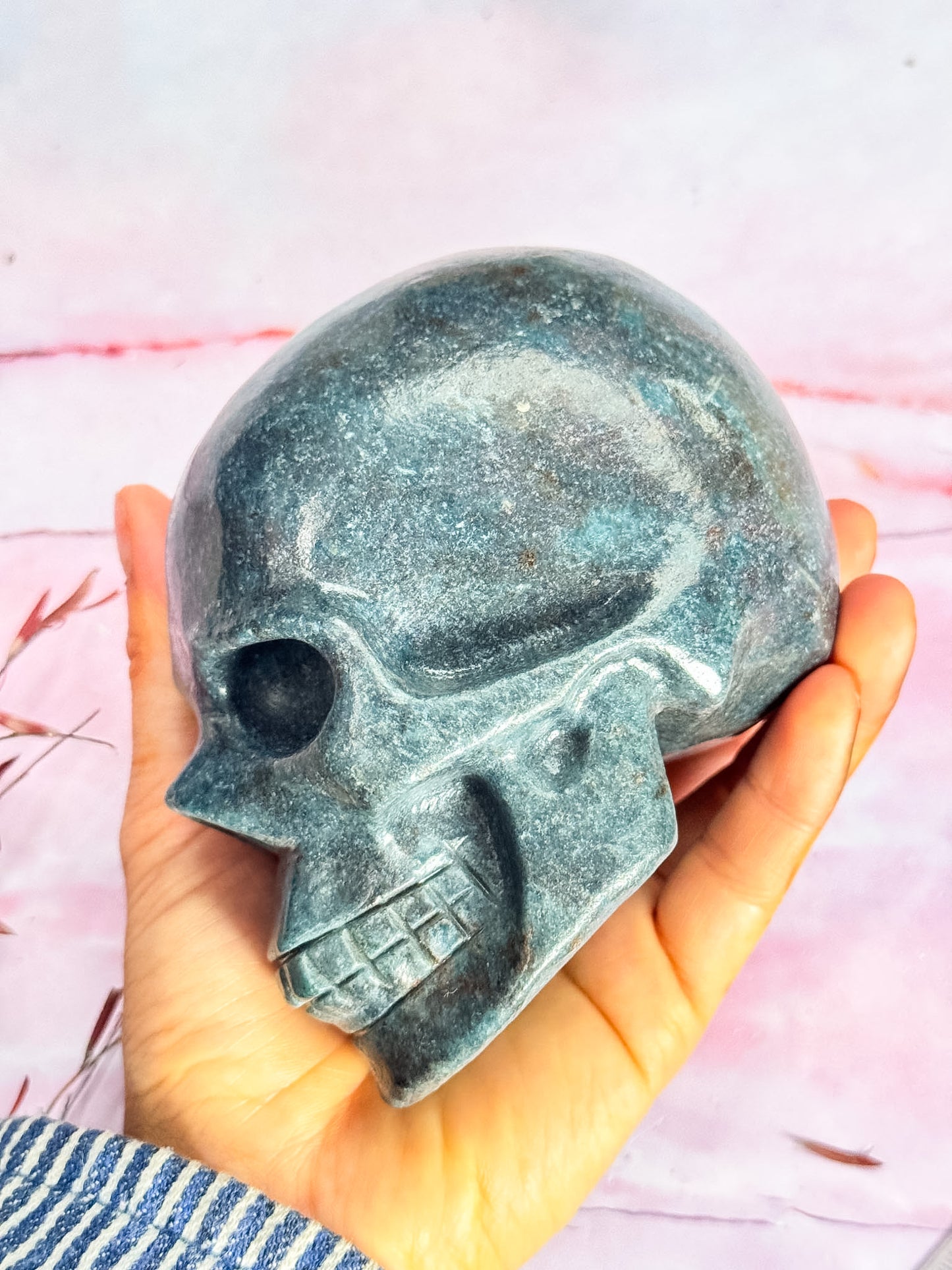 Ruby in Kyanite Skull