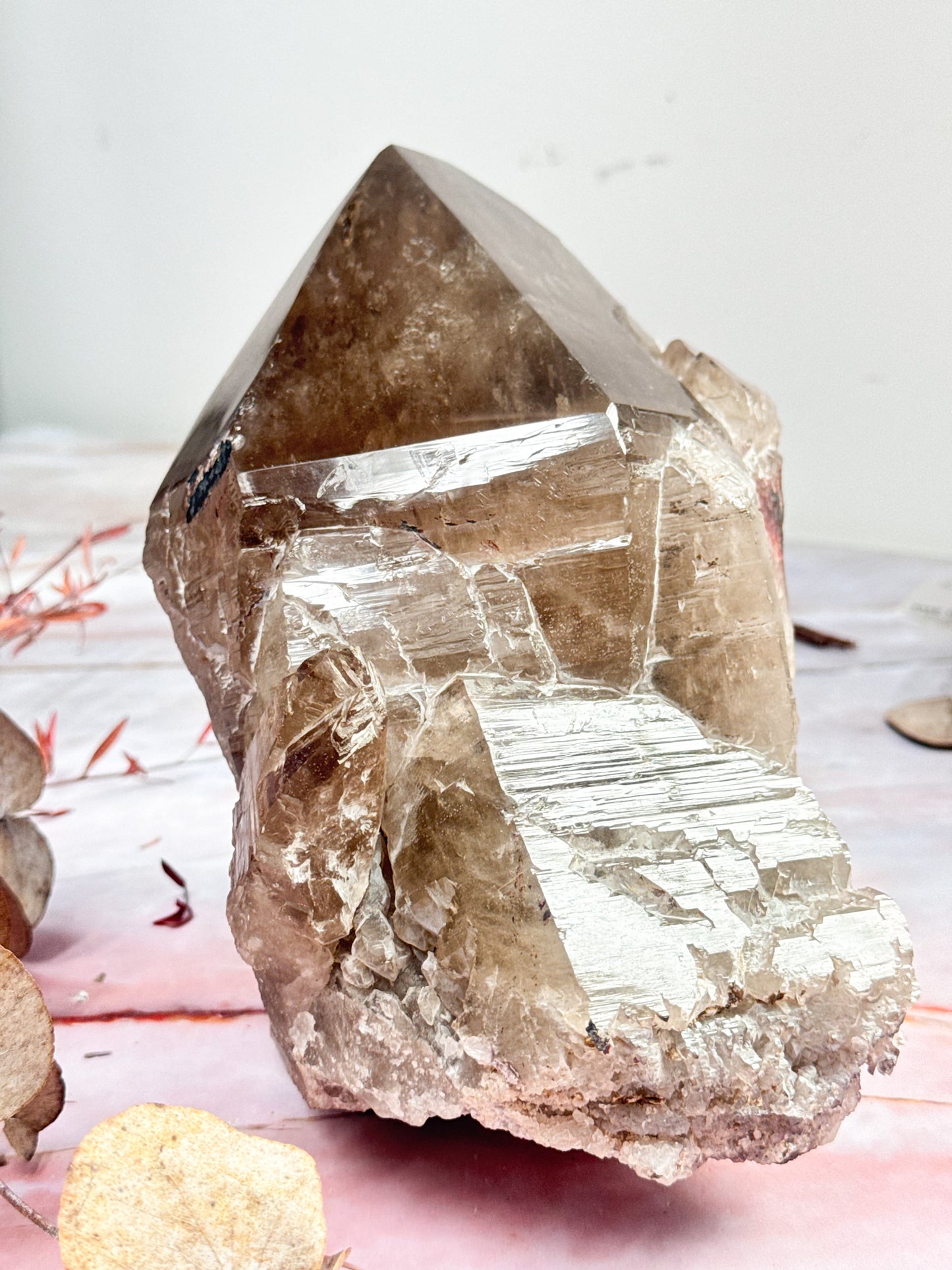 Large Smokey Quartz Cluster