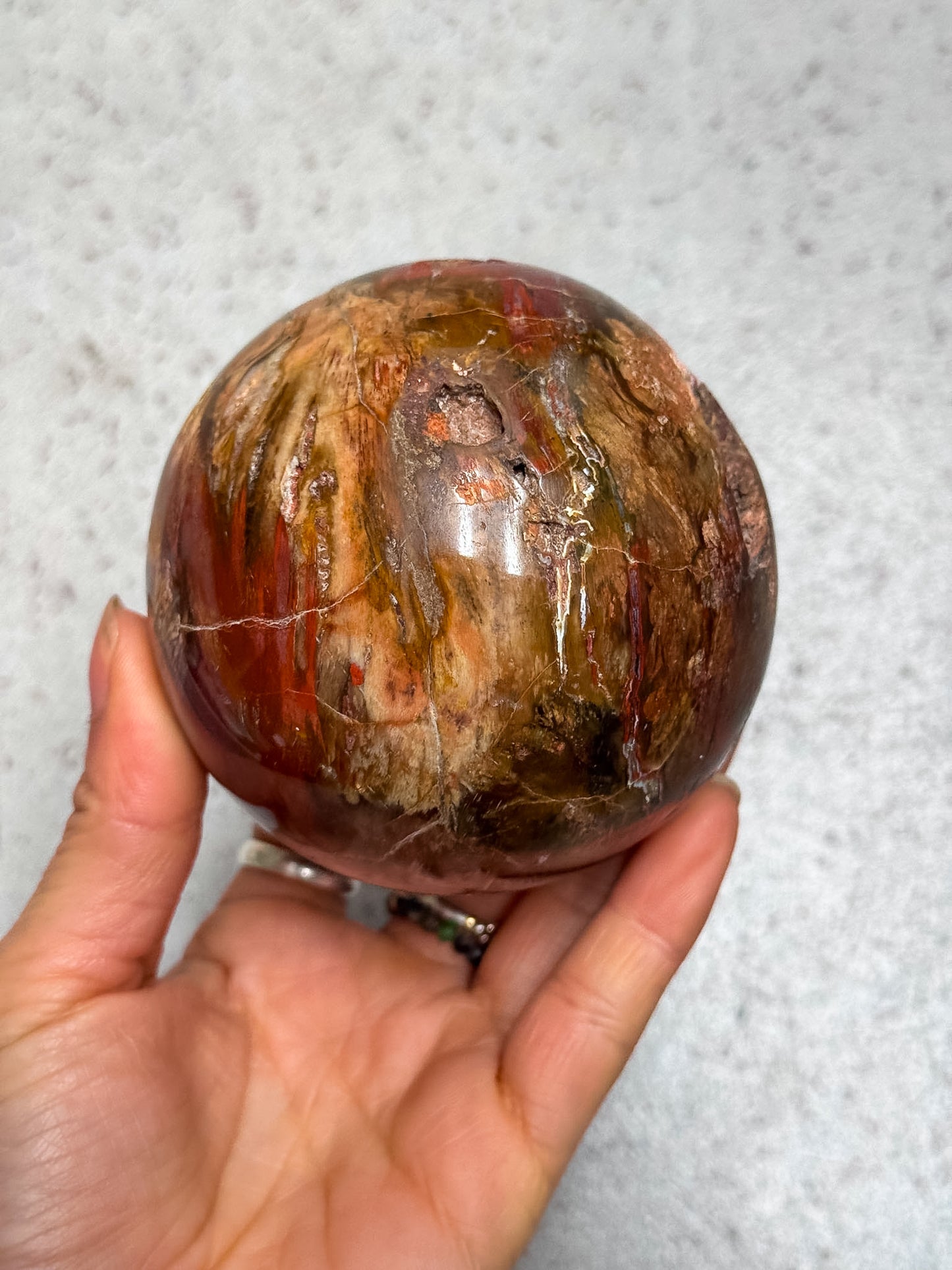 Petrified Wood Sphere