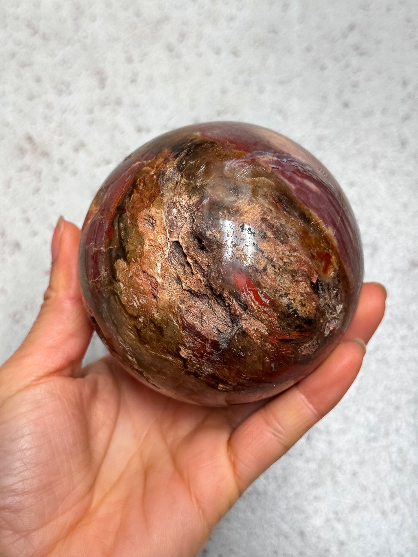 Petrified Wood Sphere